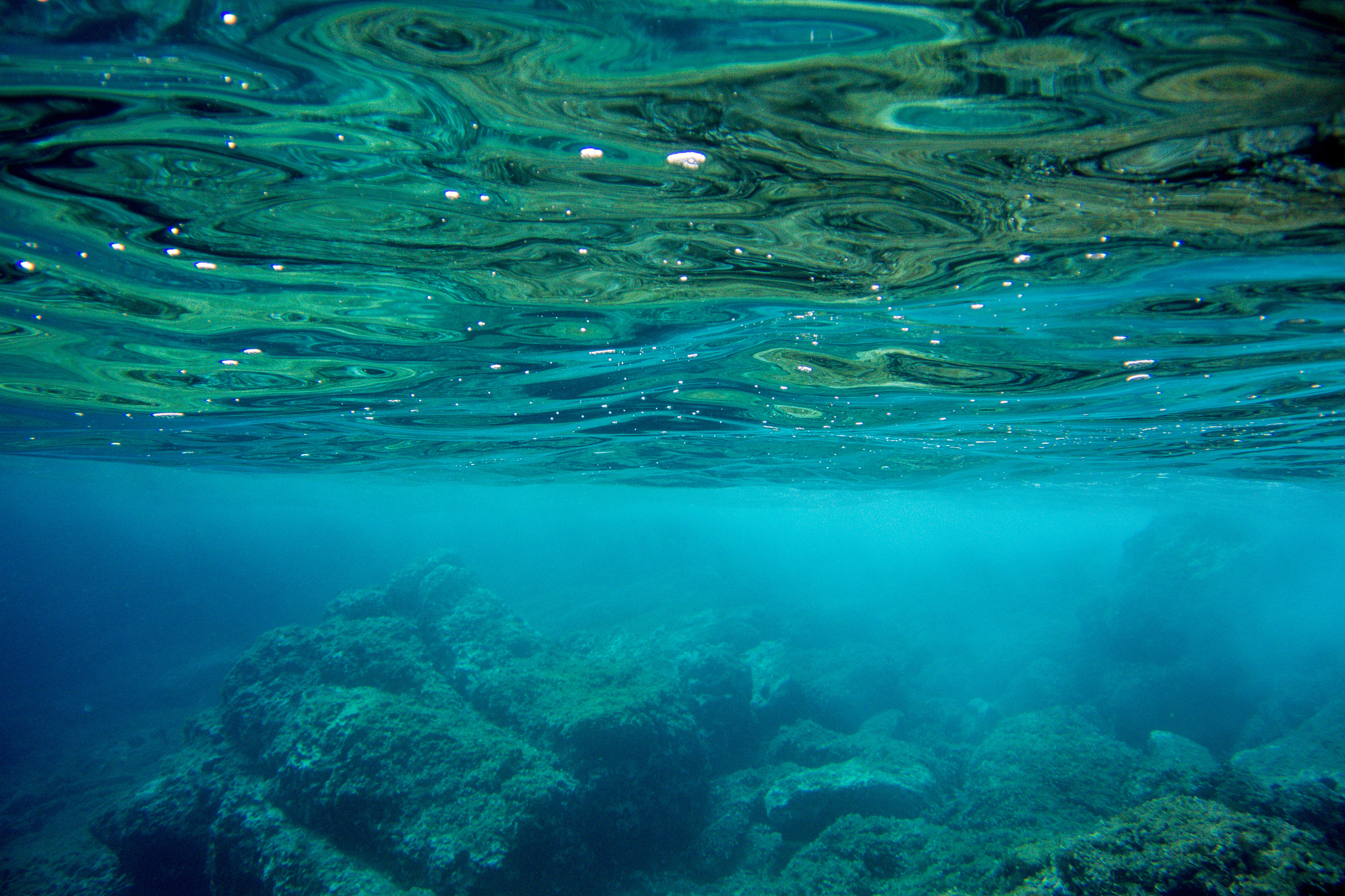 underwater view