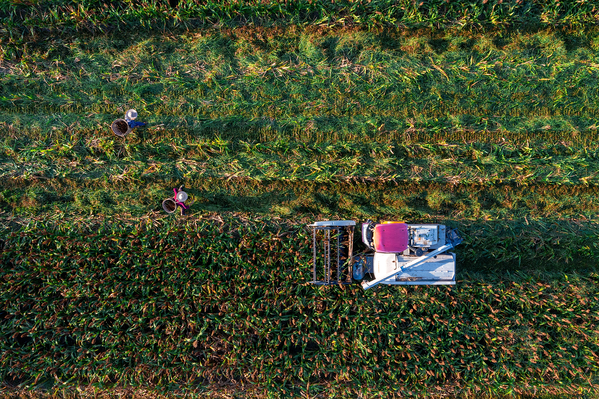 重庆中华职业学校2022年招生简章-专业设置及招生政策