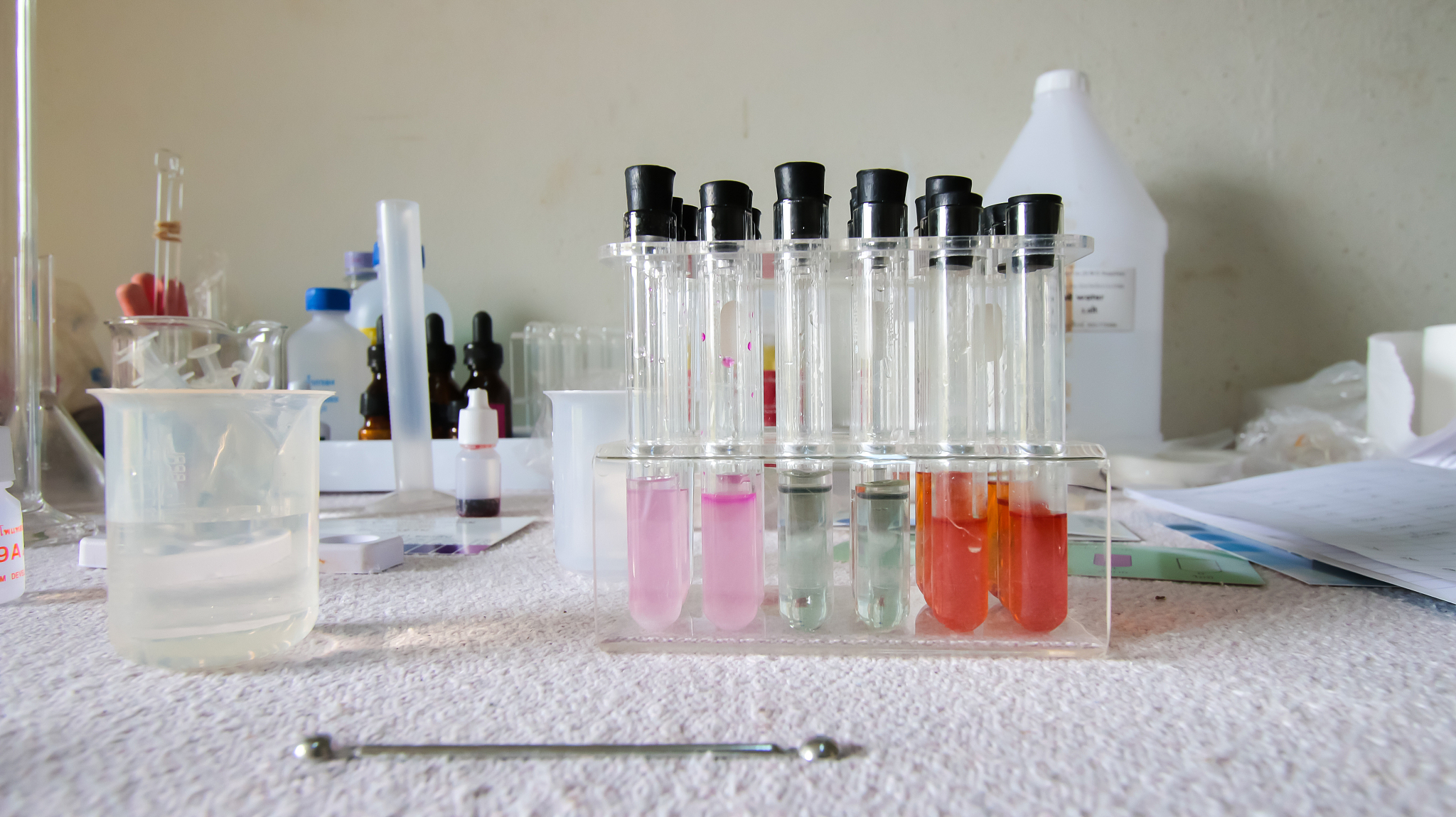 简述凯氏定氮的原理