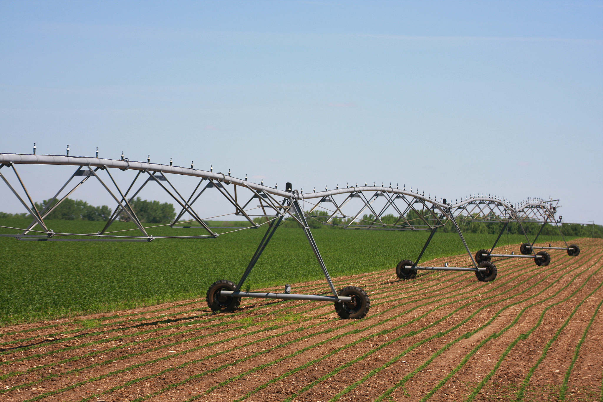 Spring Frost Severity Impacts Crop Yield: A Correlation Analysis
