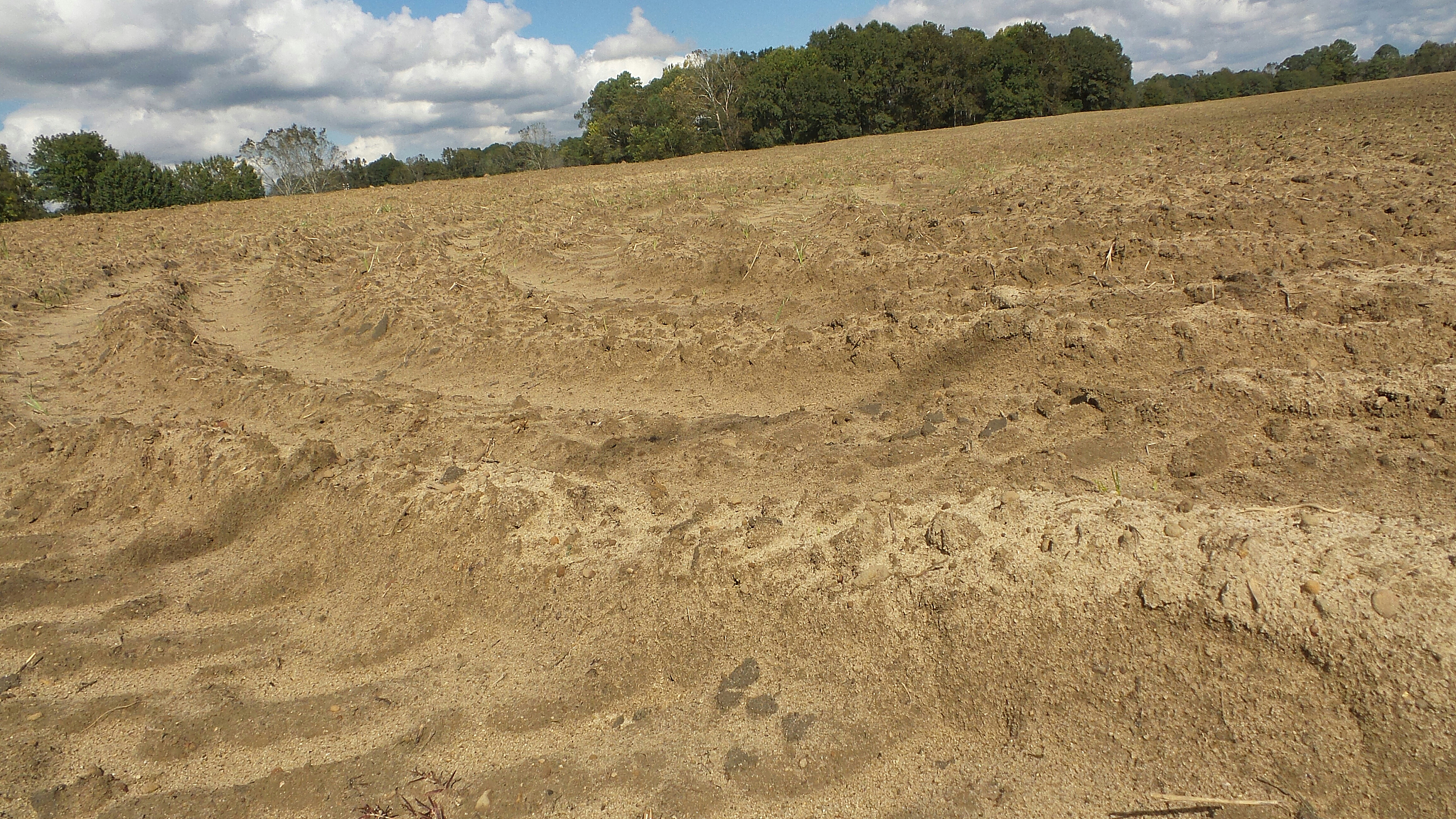 tilt image of field against cloudy sky
