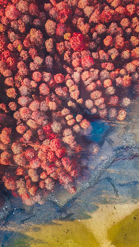 余姚第四职业技术学校2023年招生专业有哪些？