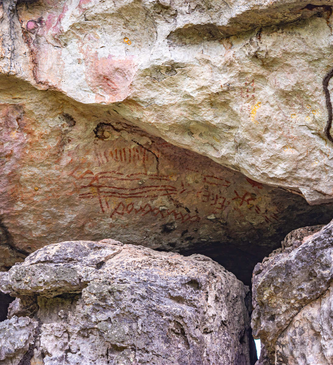 黔灵山地层地貌构造