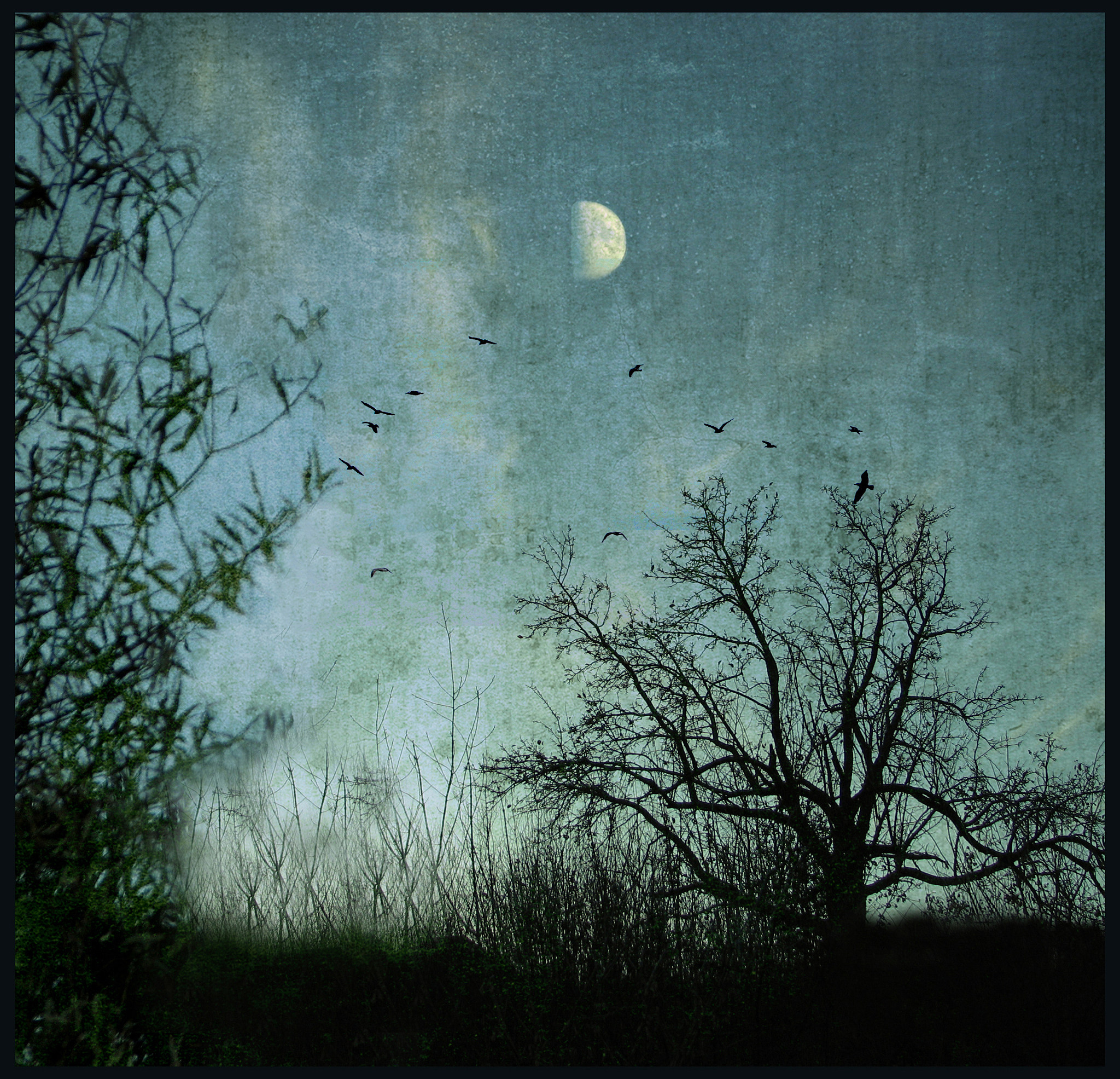 无无声处听惊雷下一句是什么？寂静黑夜的惊心动魄