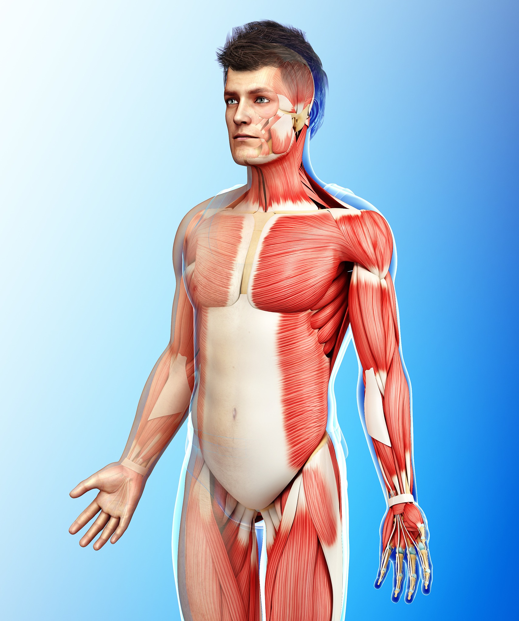 商丘医学高等专科学校康复治疗技术专业涉及哪些课程