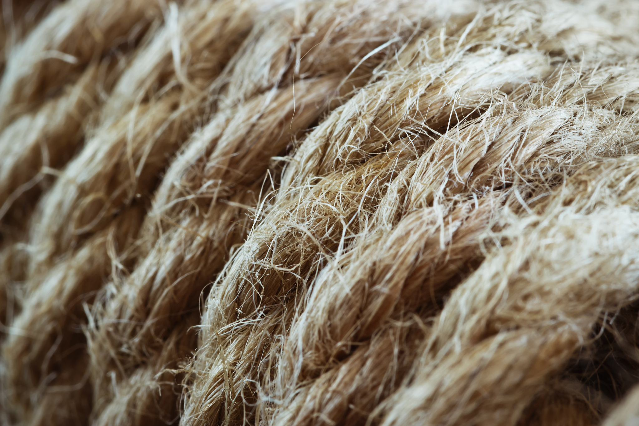 山东医药技师学院中药行业优势