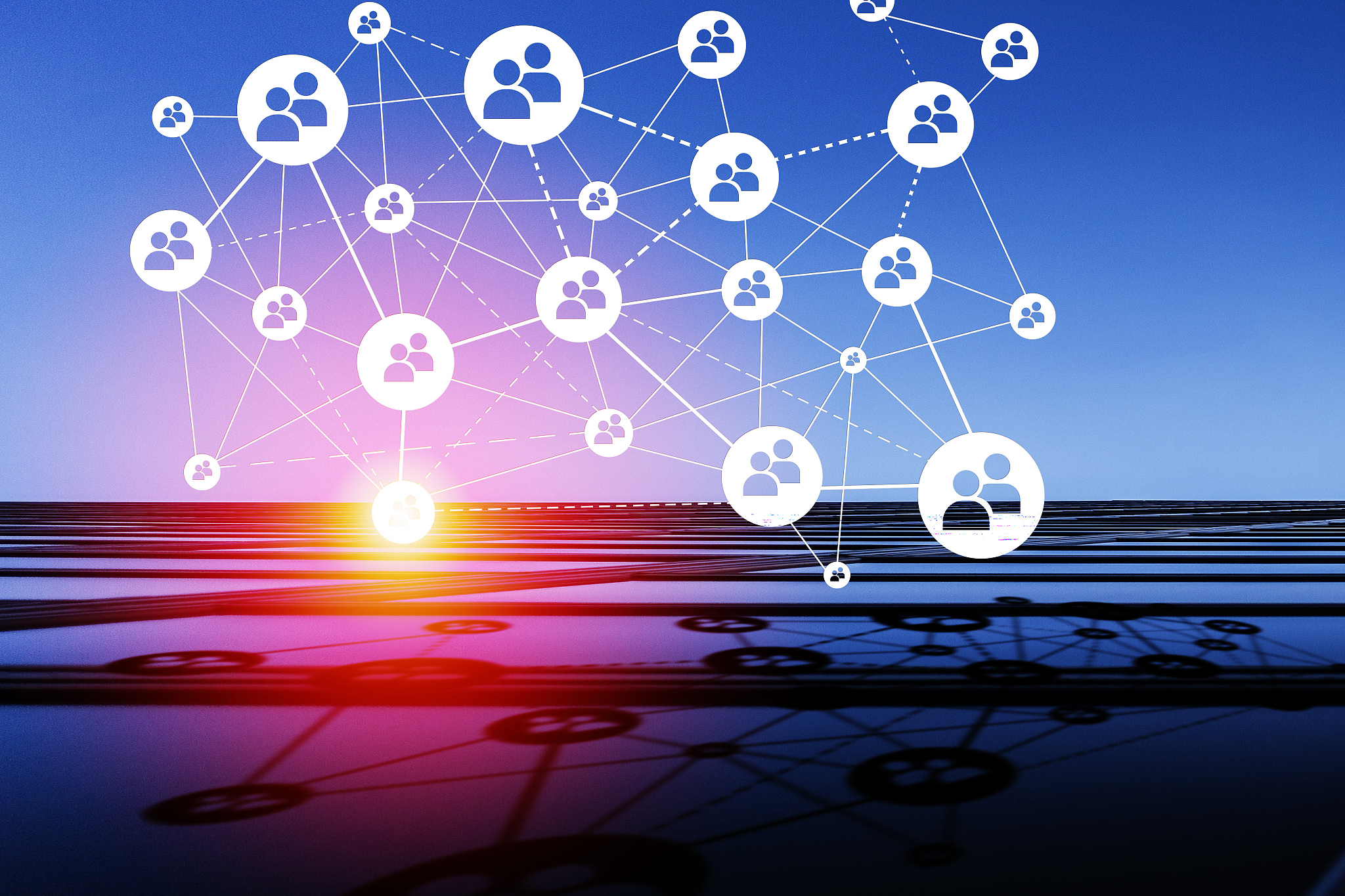 social media network