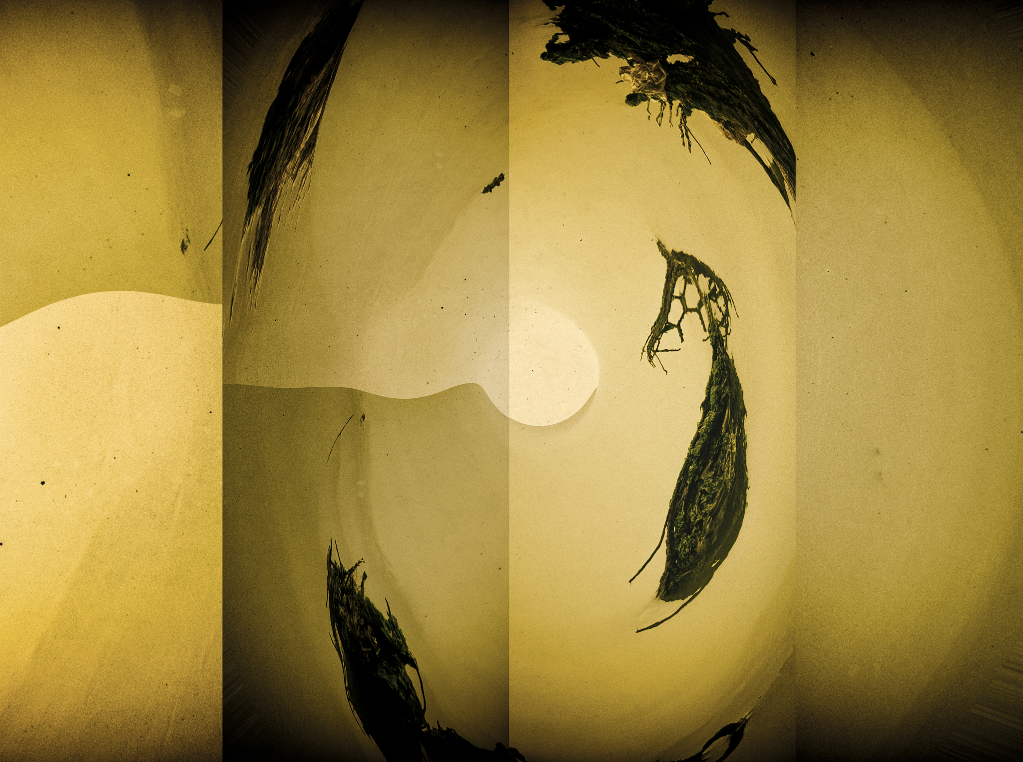 山海北荒卷孵蛋加速器