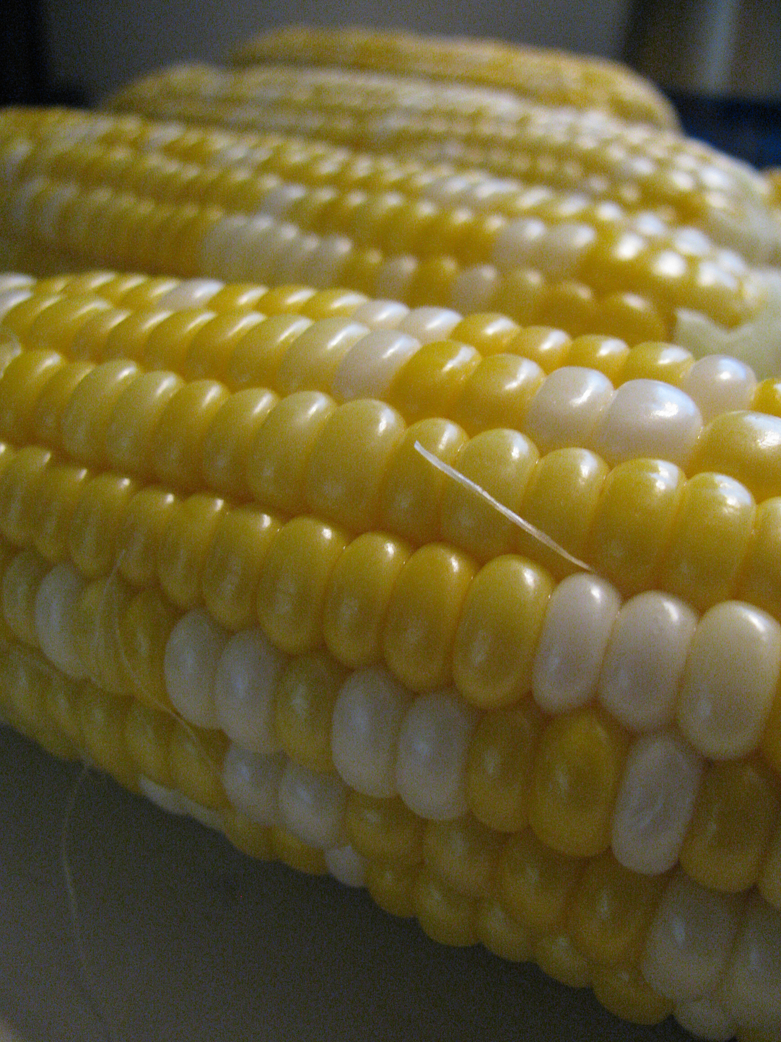 辽宁大学摄影专业怎么样