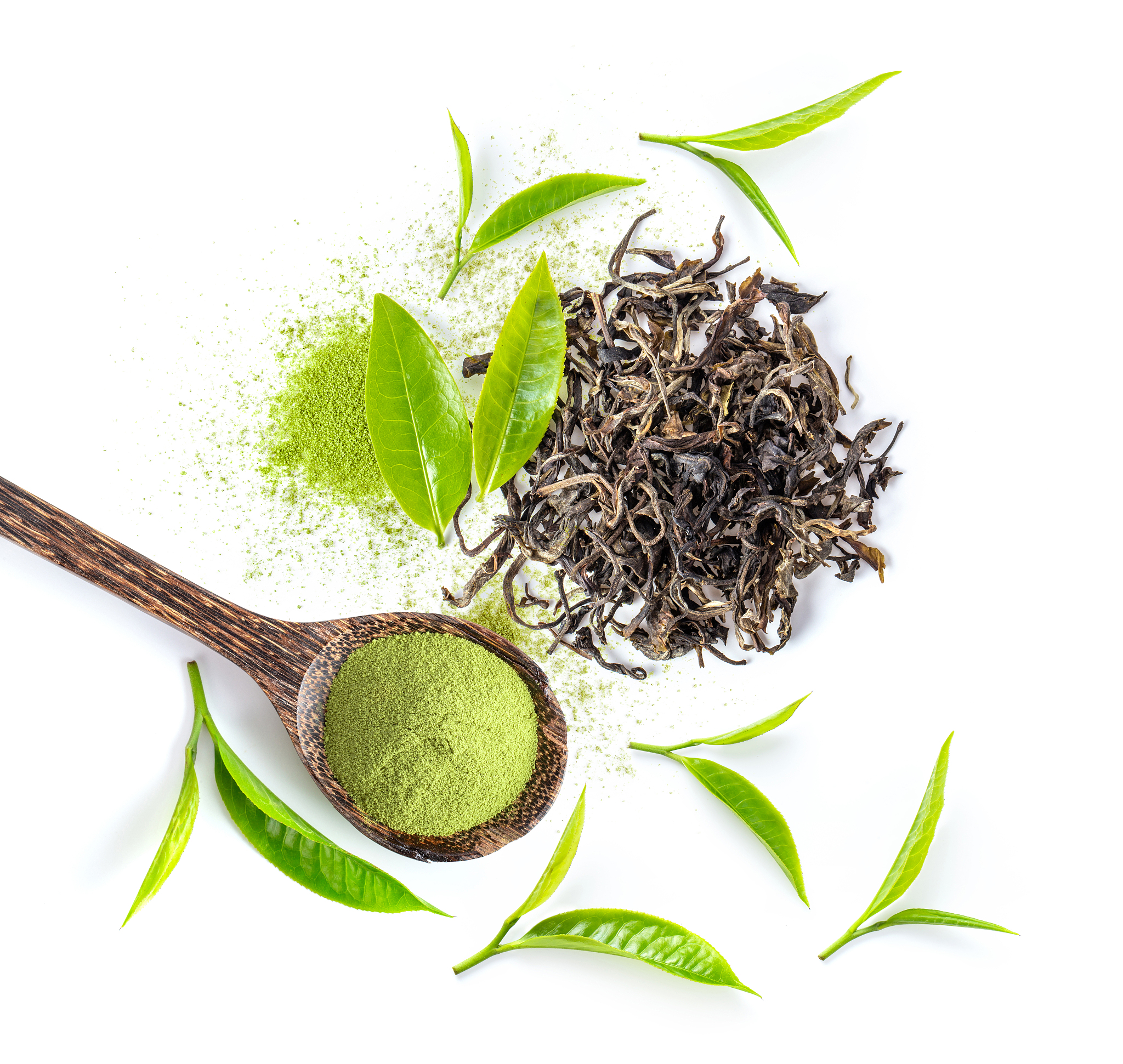 怎样才能辨别绿茶？