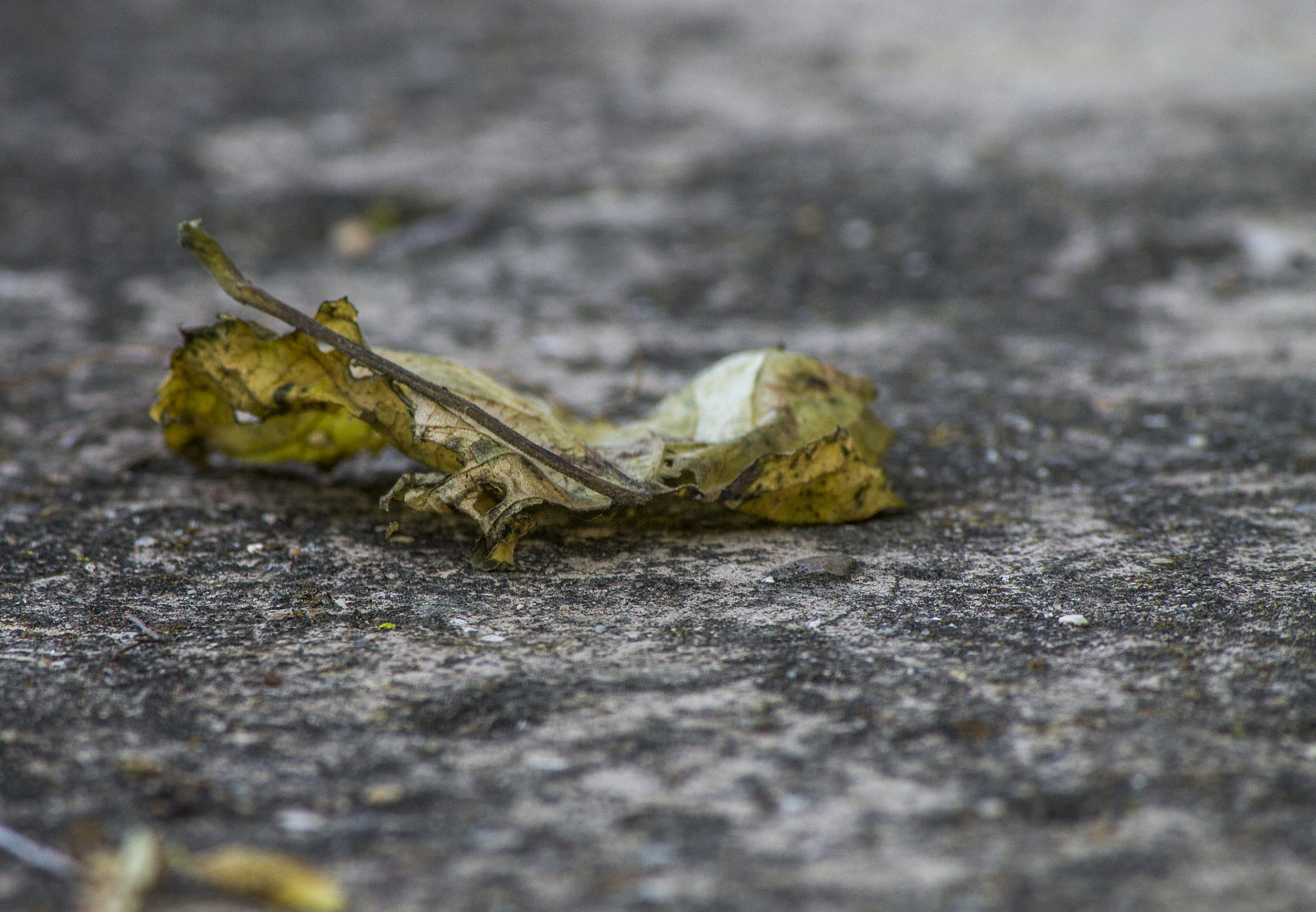 新龜免賽跑的啟示：四個戰局的勝利者與致勝關鍵