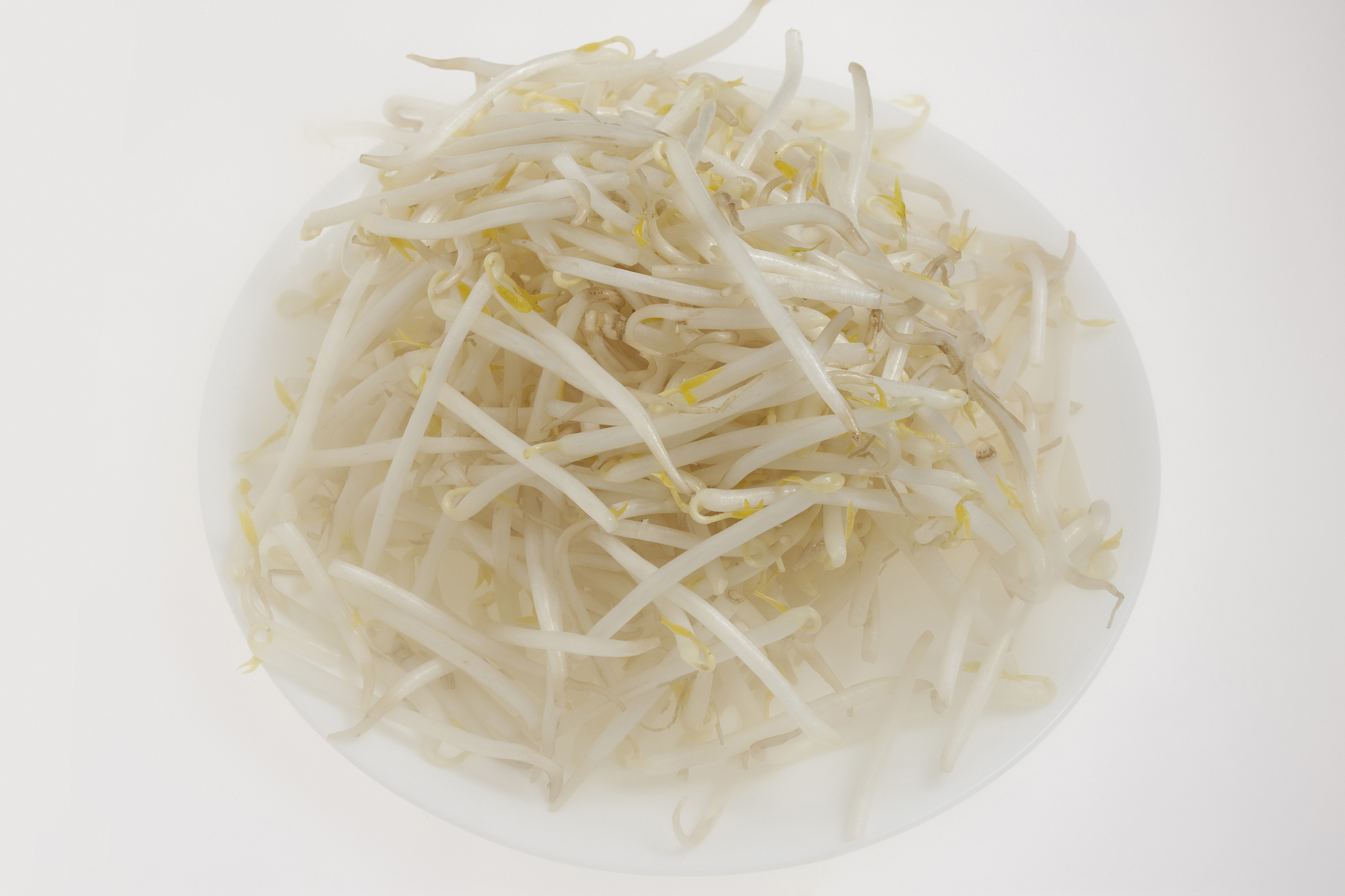 豆芽冰箱保存时间：新鲜豆芽冷藏技巧及注意事项