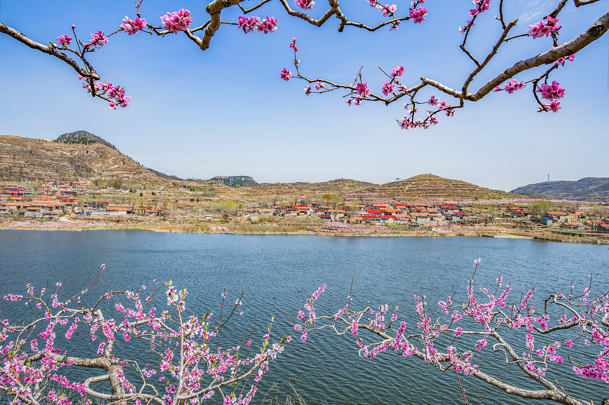丹东桃花岛景点