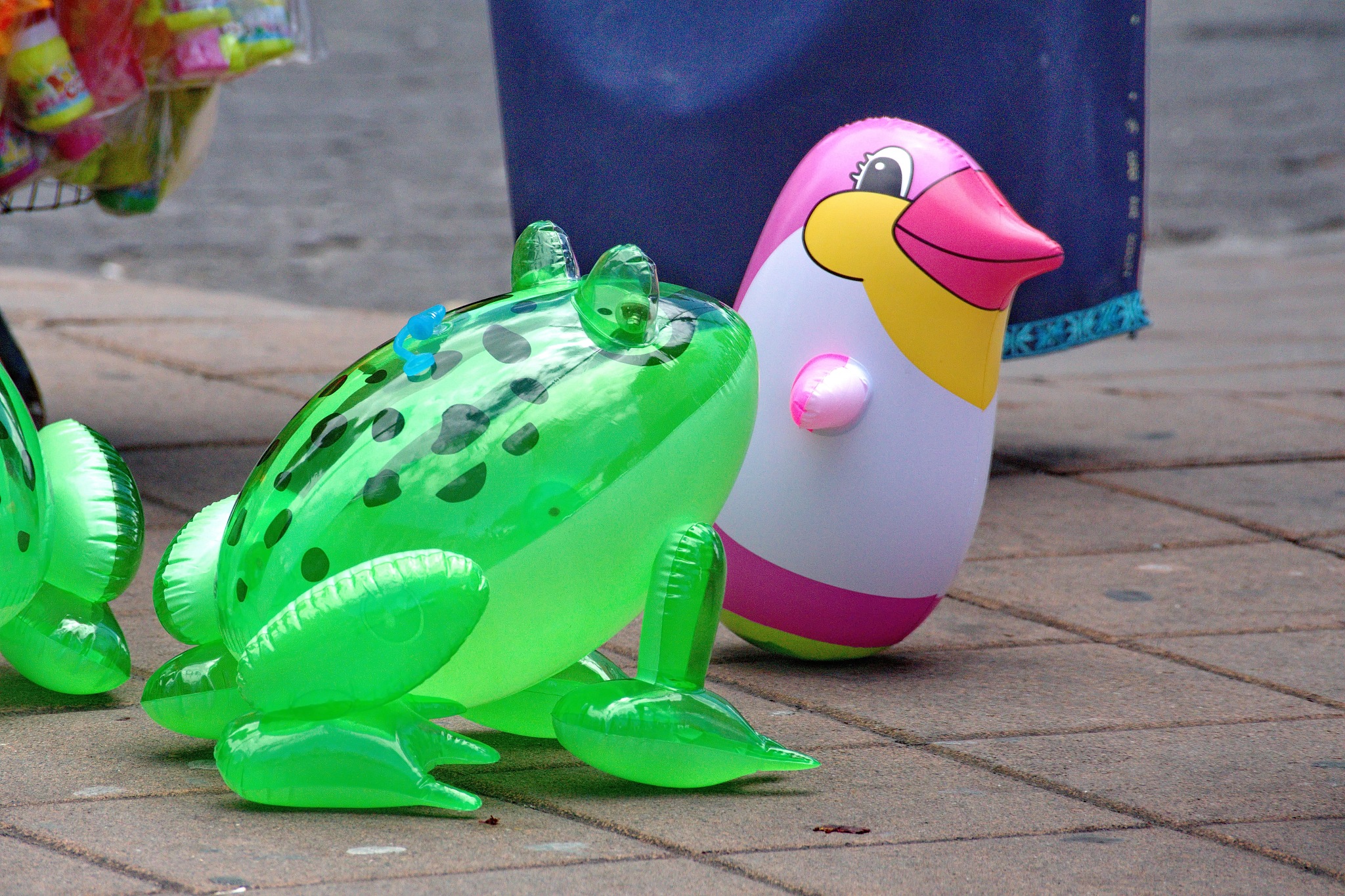 我要进点青蛙去卖？哪里可以进货？充气的青蛙