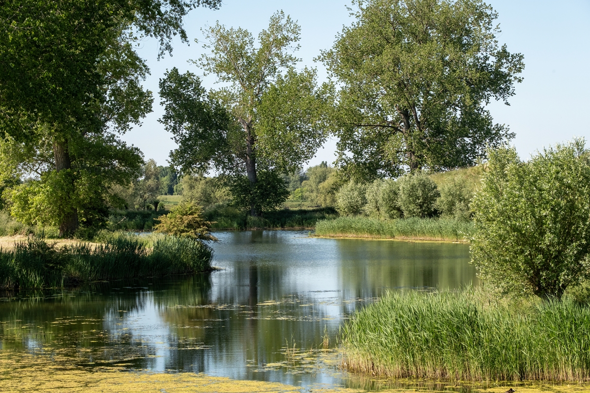 盈川潭：家乡的美丽感动