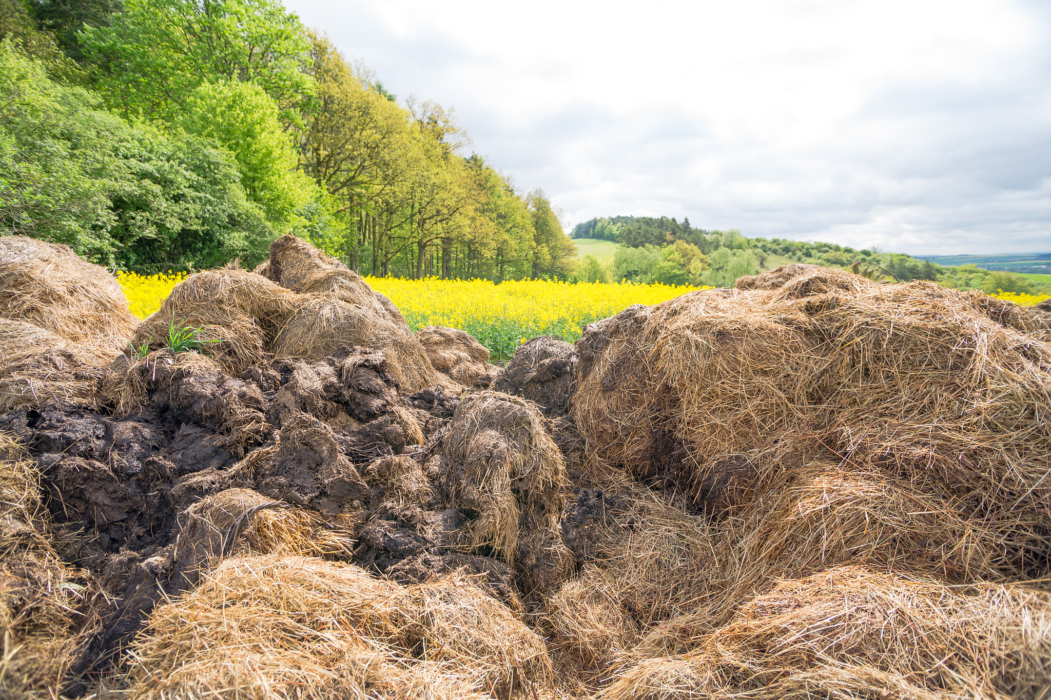 剩余污泥堆肥：将废物变废为宝，实现资源循环利用