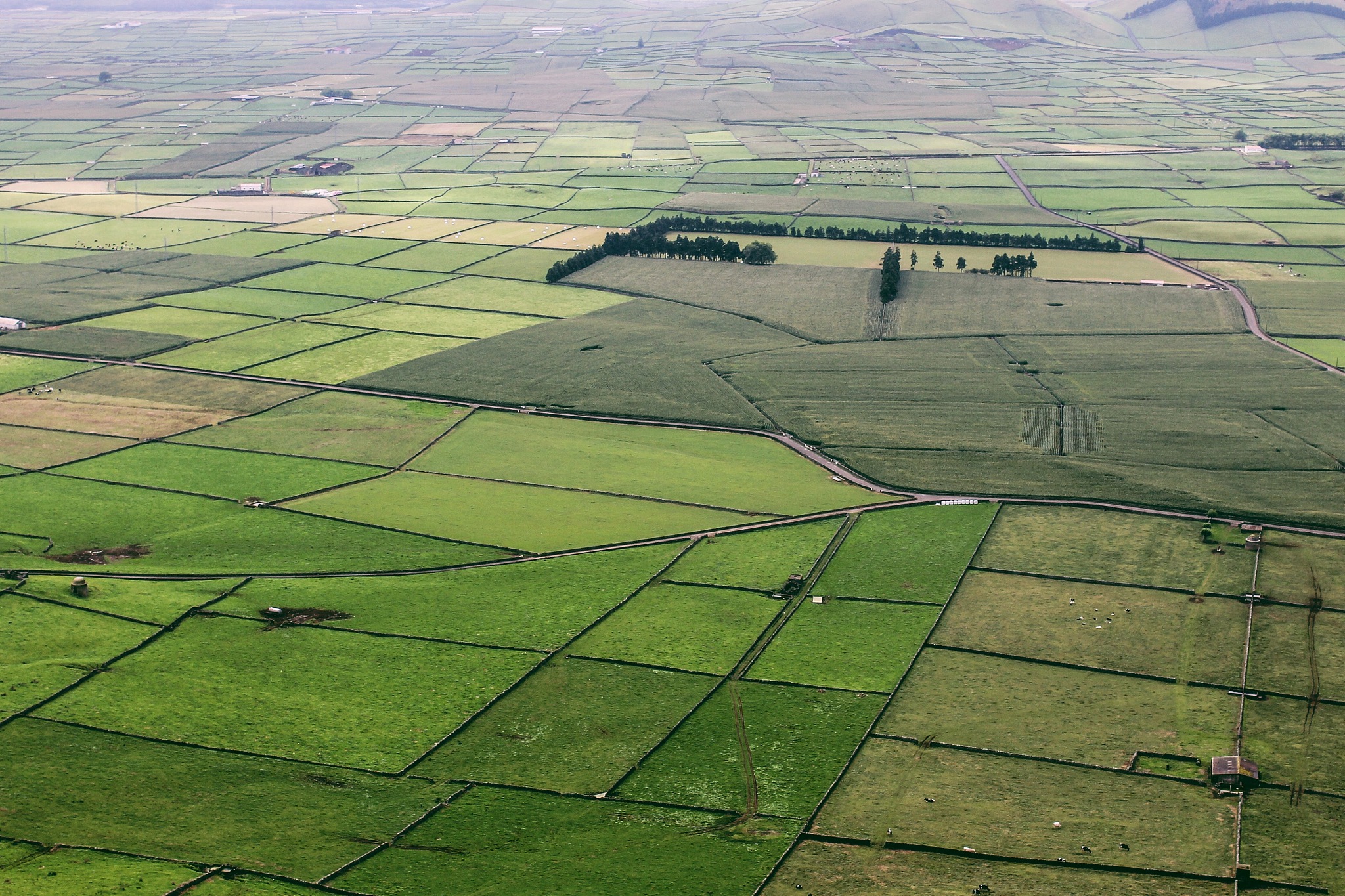 high angle view of agricultural field