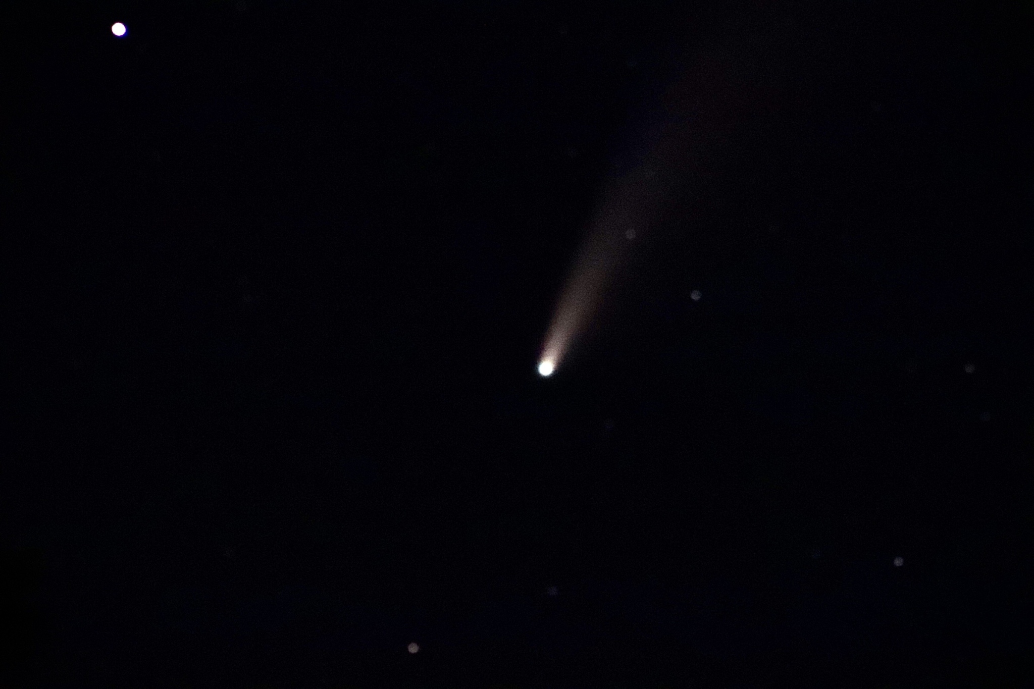 neowise comet