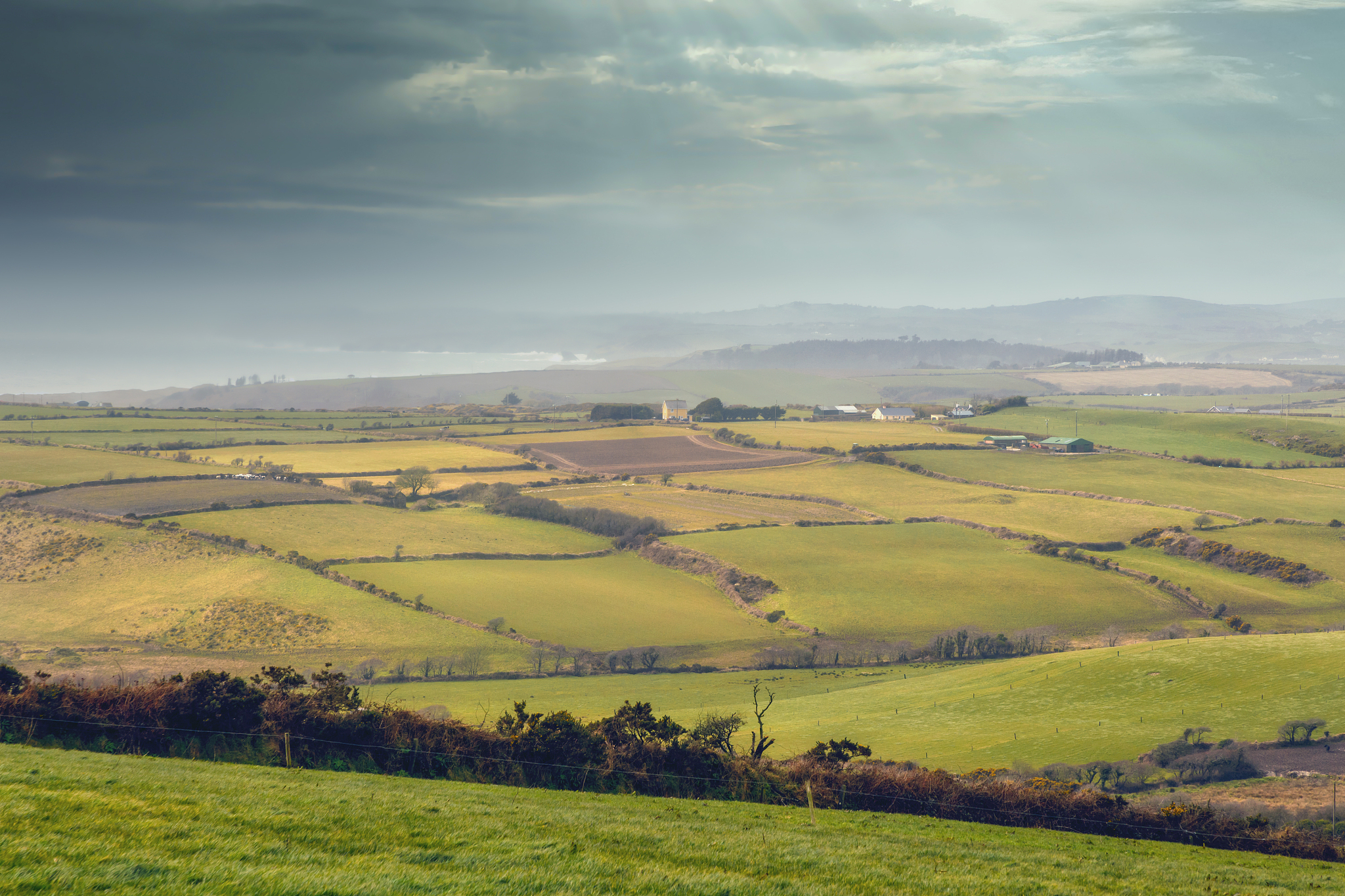 countryside between clanakilty and galley head, west cork, irela