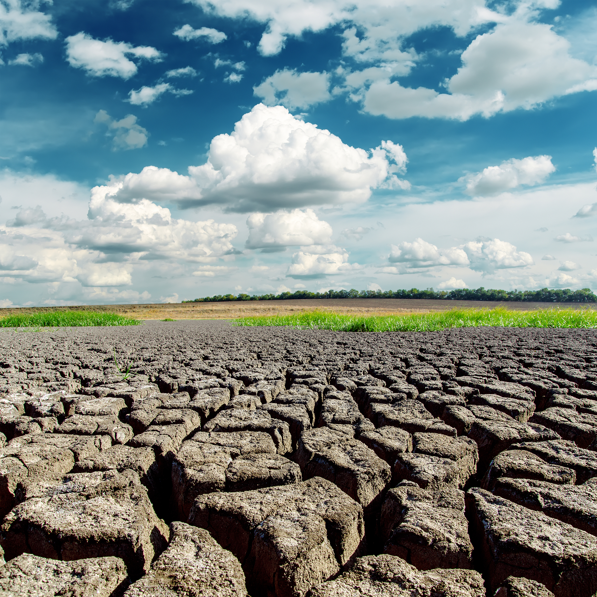 蒙古国东方省周有什么风险影响当地生活