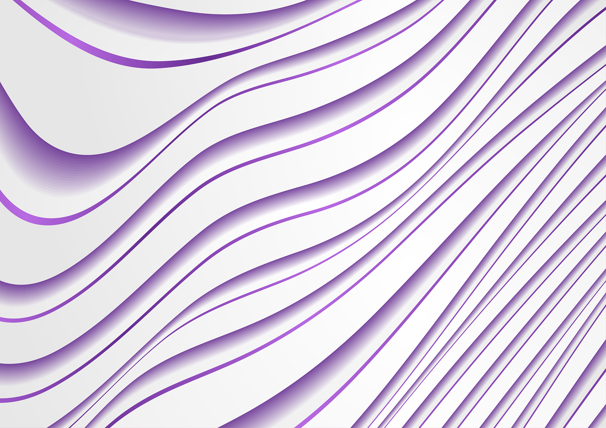 white and violet curved waves abstract luxury background