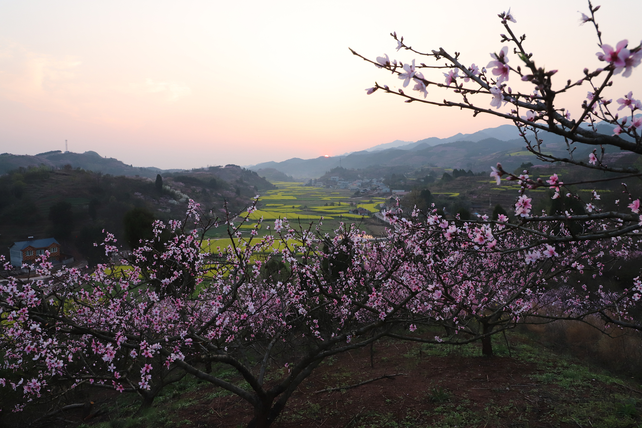 中国的五个桃花源？哪一个才是真正的桃花源