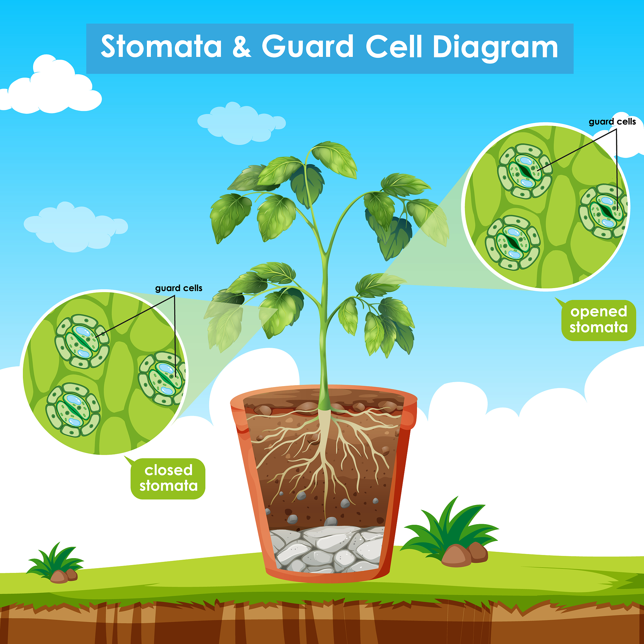 httpswwwsnexploresorgarticleplant-powered-plastics帮我用英语写出这篇文章的主旨200—250词并标注词数
