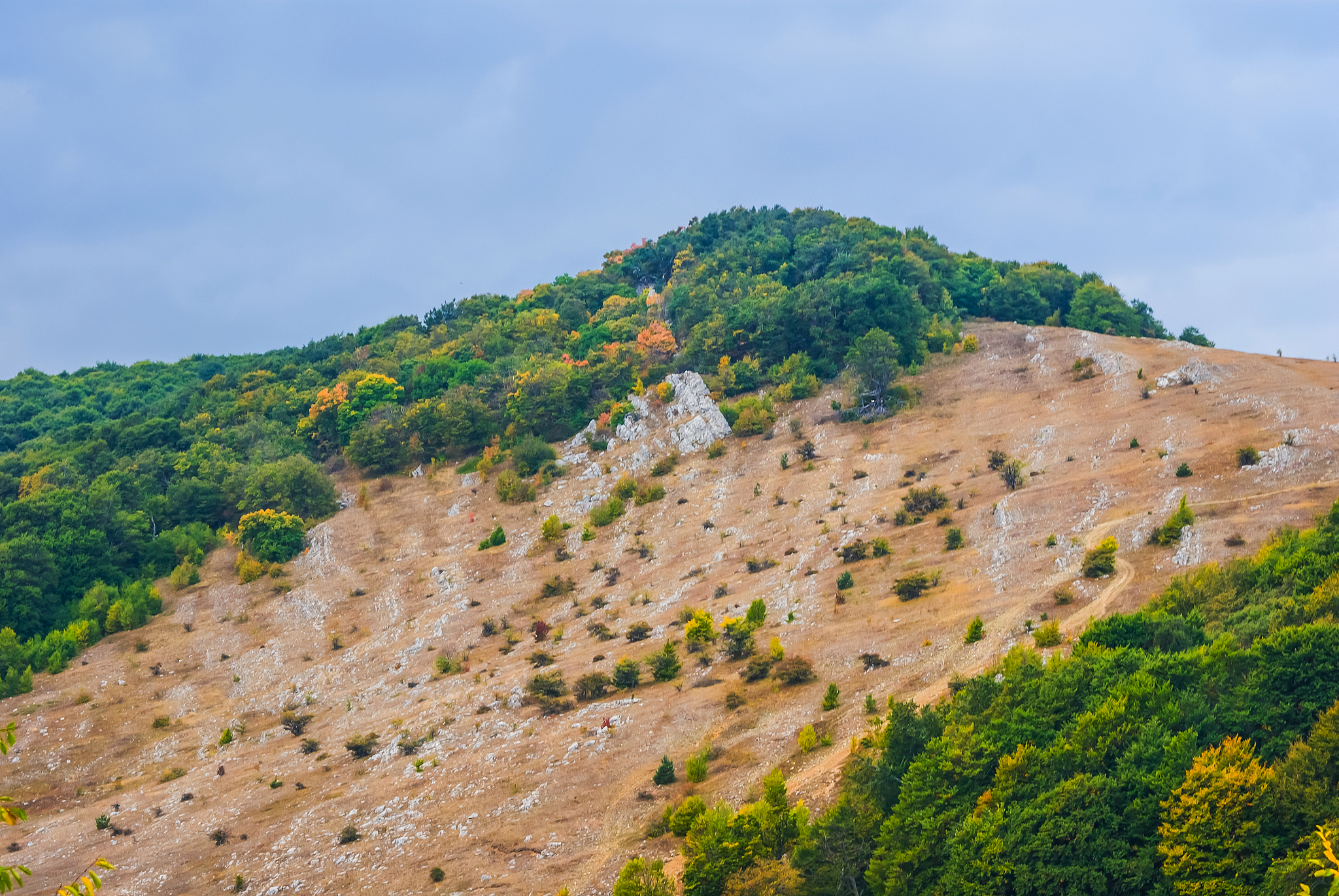 八卦岭的山与咖啡馆介绍一下
