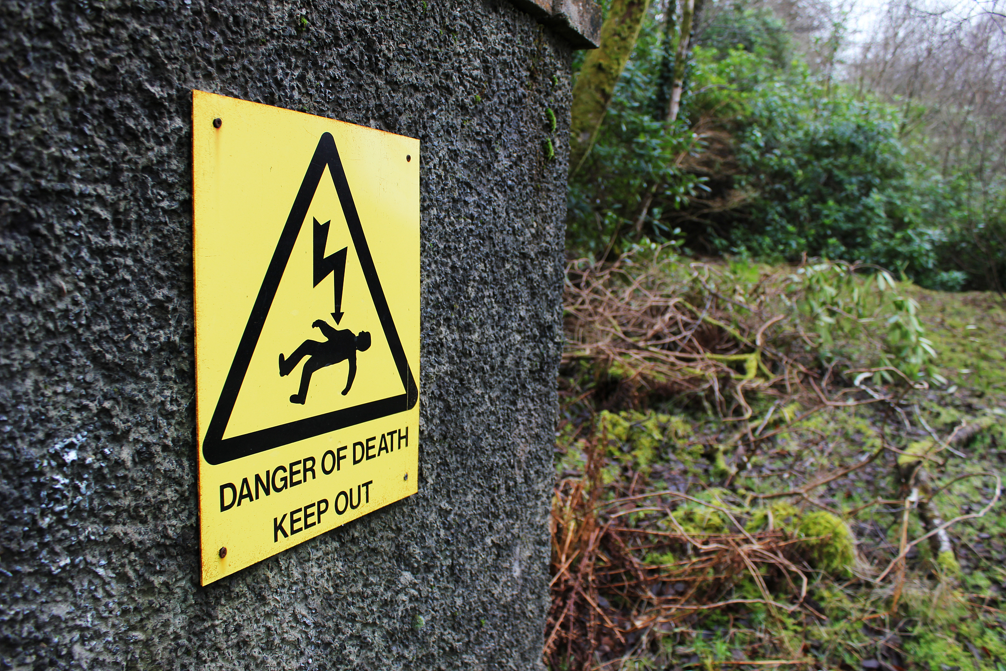 盏是否有毒？使用盏需要注意什么？