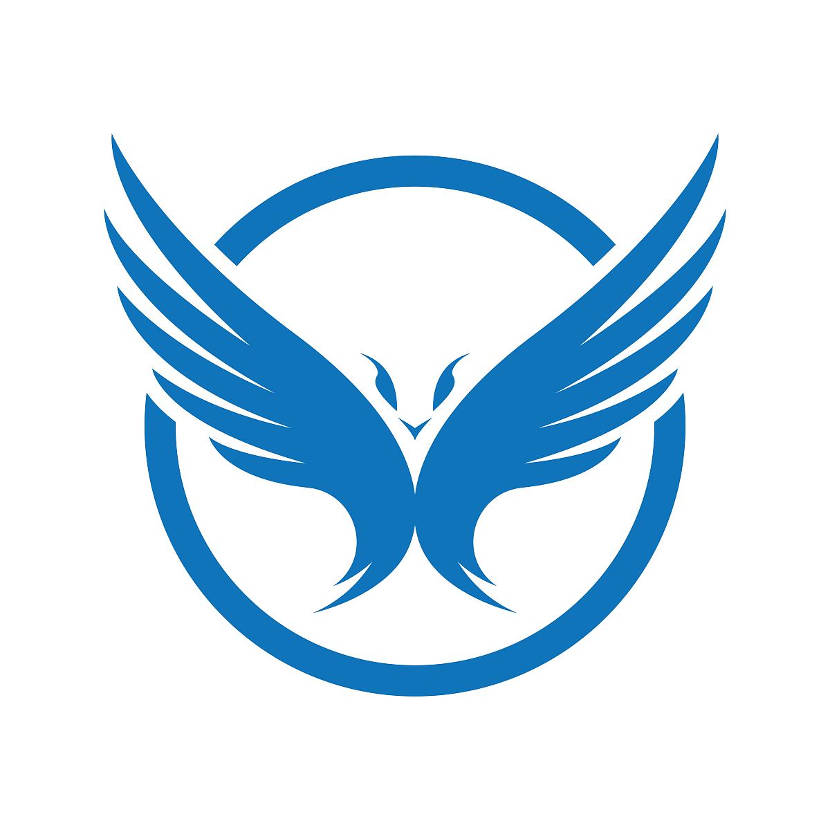 飞翔之翼团队：名字、口令、队标设计与展示