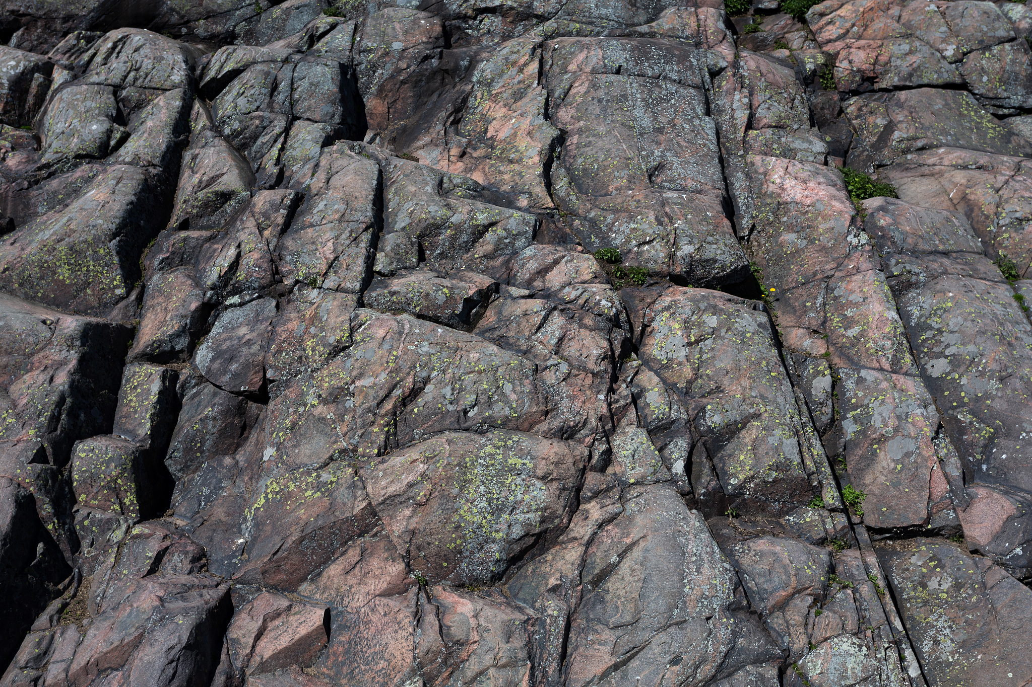 武夷山为什么土壤是酸性的