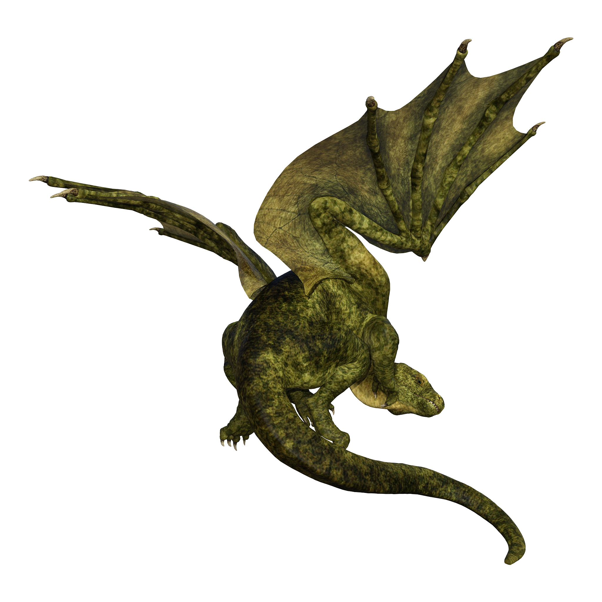 3d illustration fantasy dragon on white