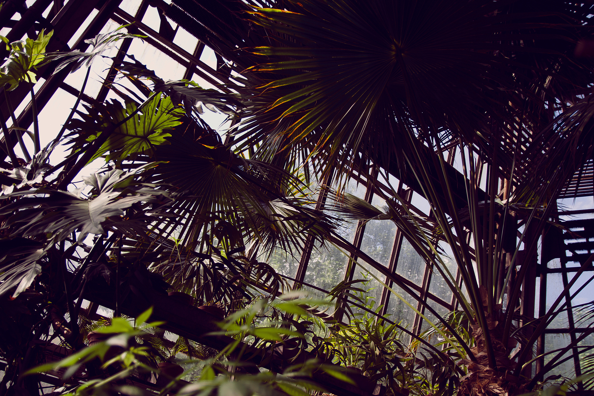 植物园研学报告