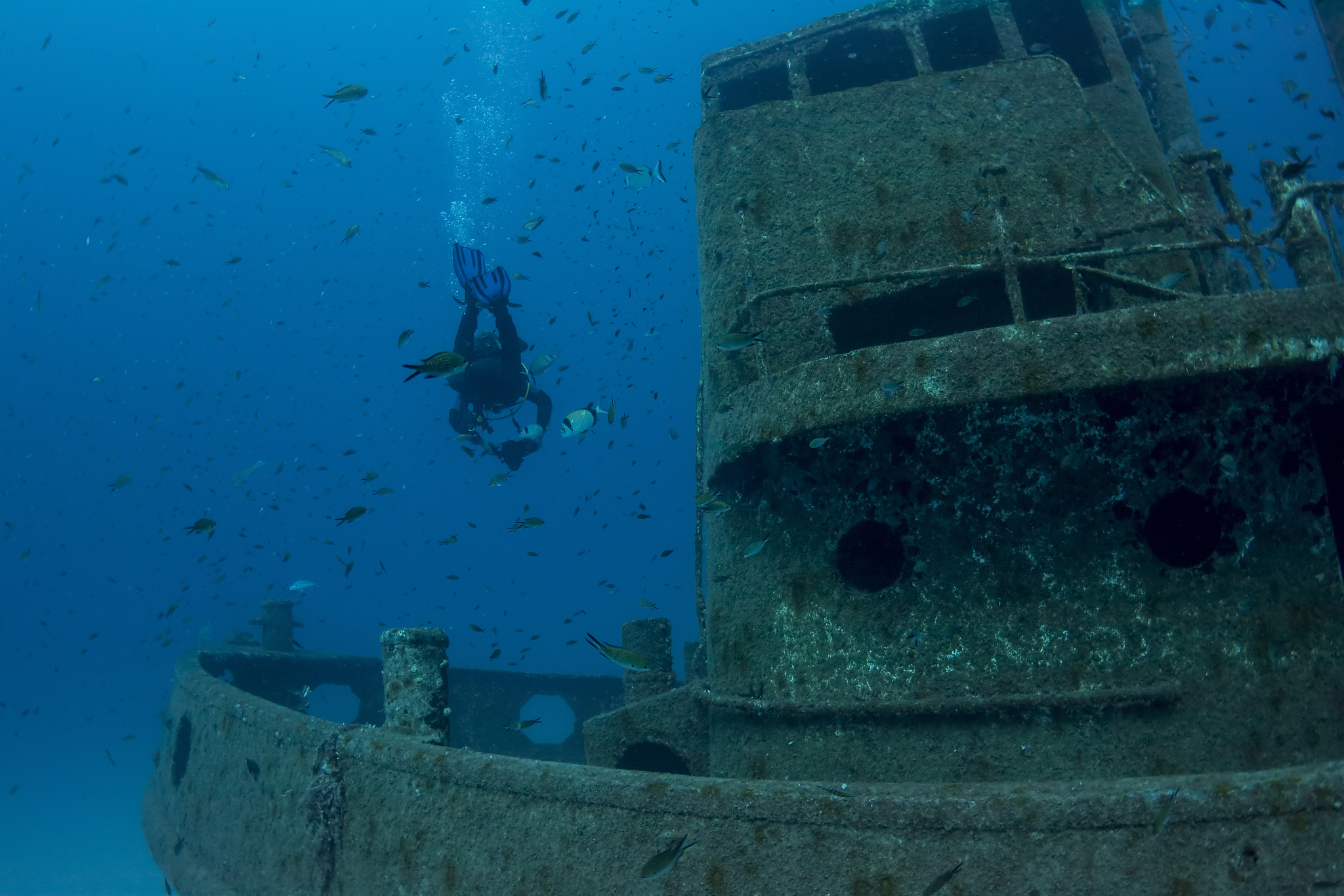 tugboat rozi in malta