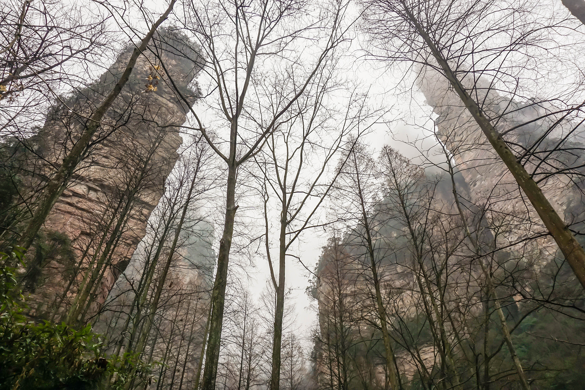 the view of zhangjiajie national forest park