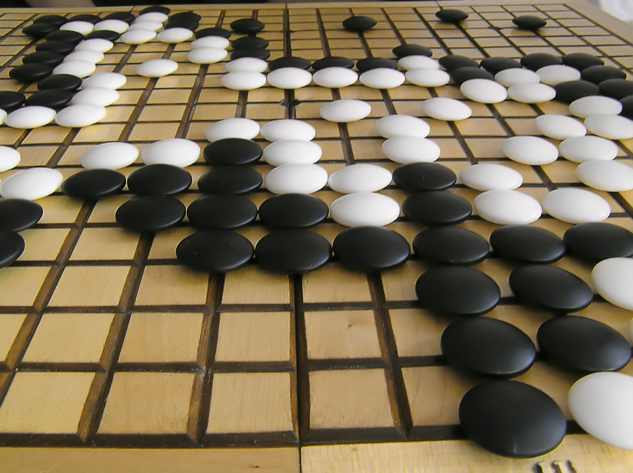 围棋奇迹：从零基础到高手，你也能成为大师！