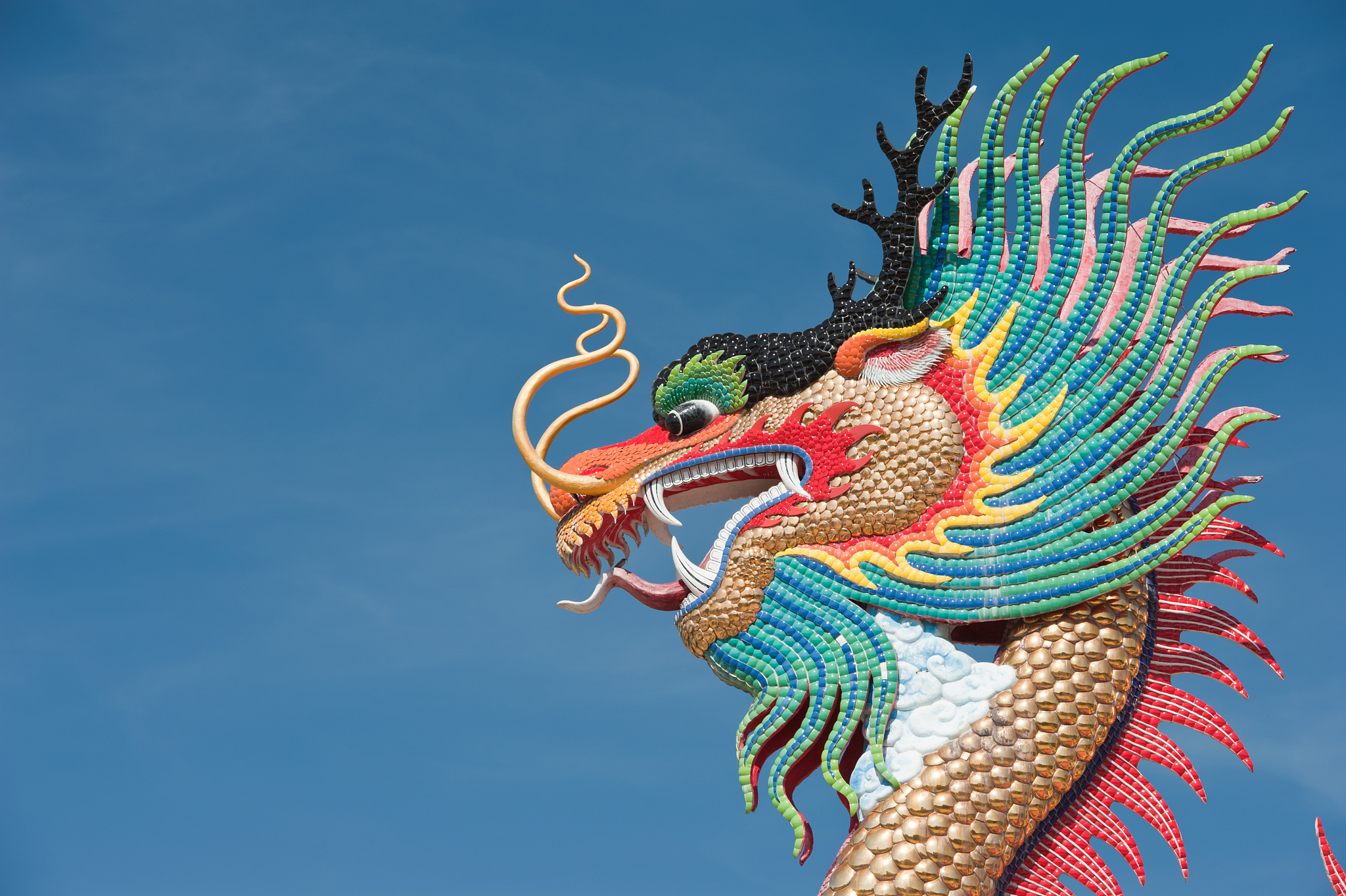 chinese dragon