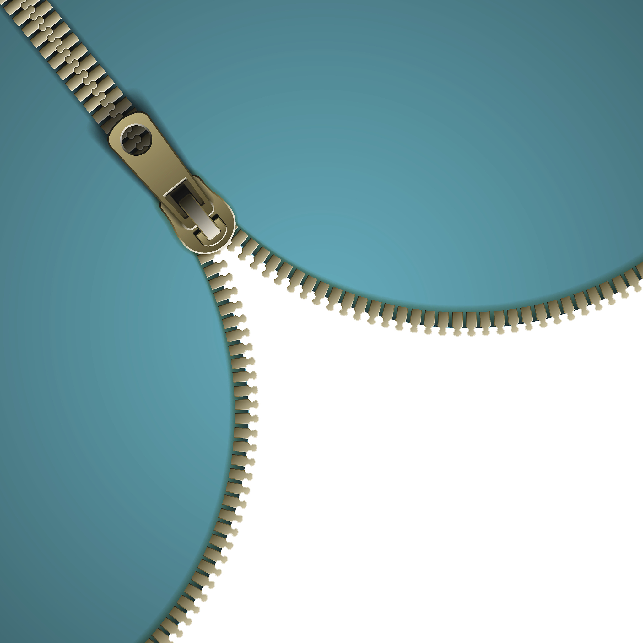 metal zipper. sewing atelier.