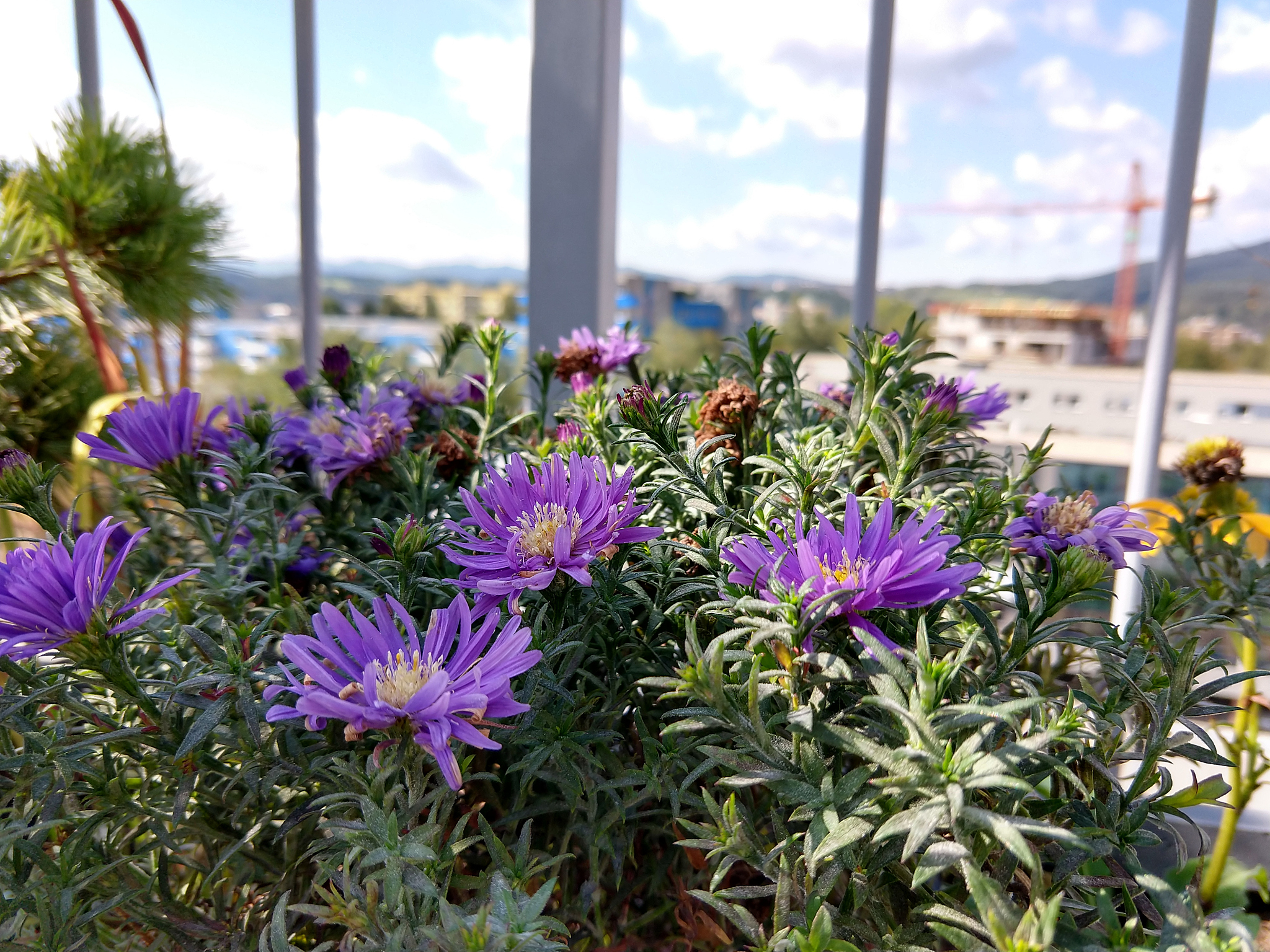 Quarterly Rental Inquiry - Landmark Pinnacle, 70th Floor & Above