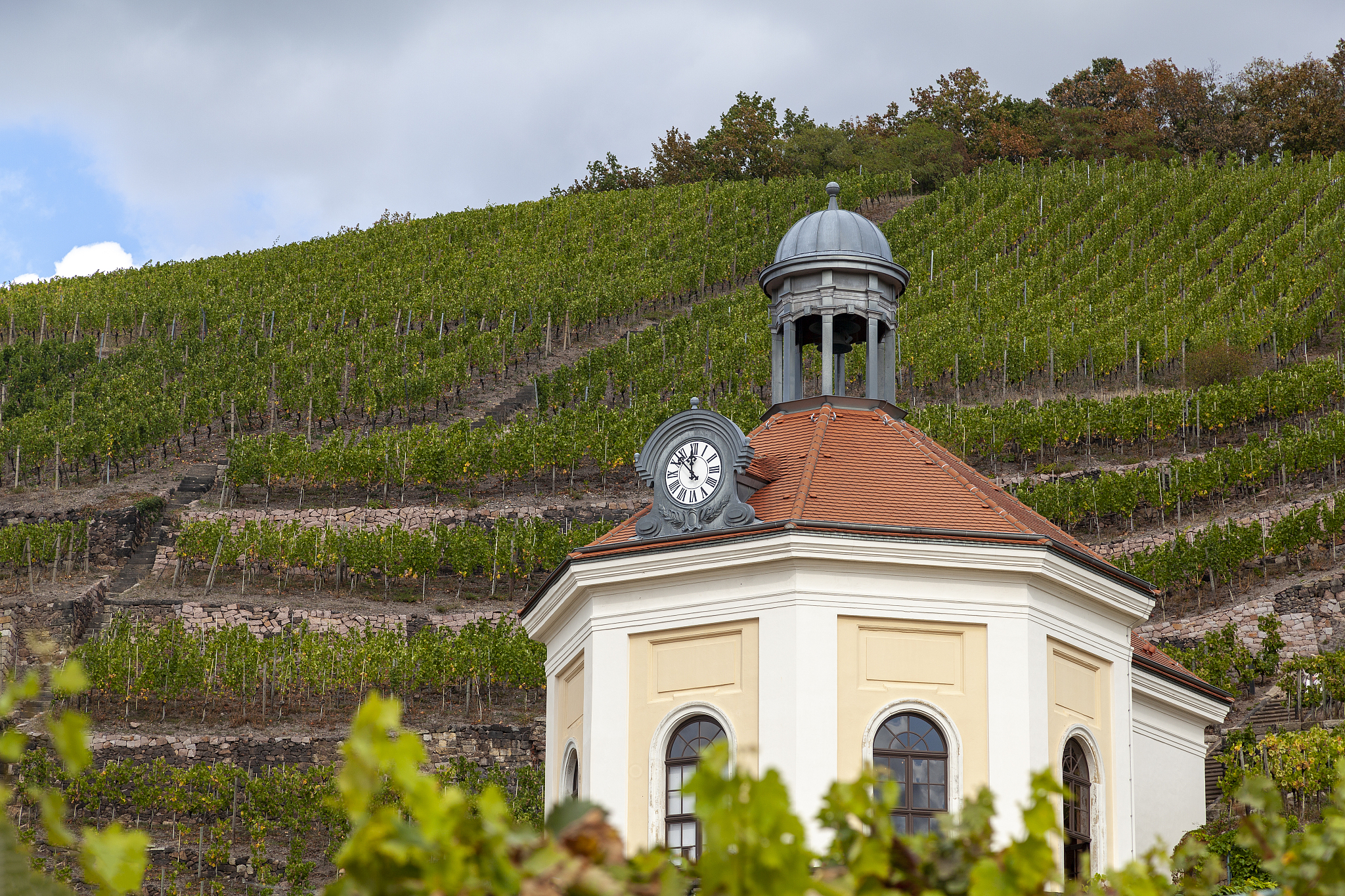 江西外语外贸职业学院应用德语专业涉及哪些课程