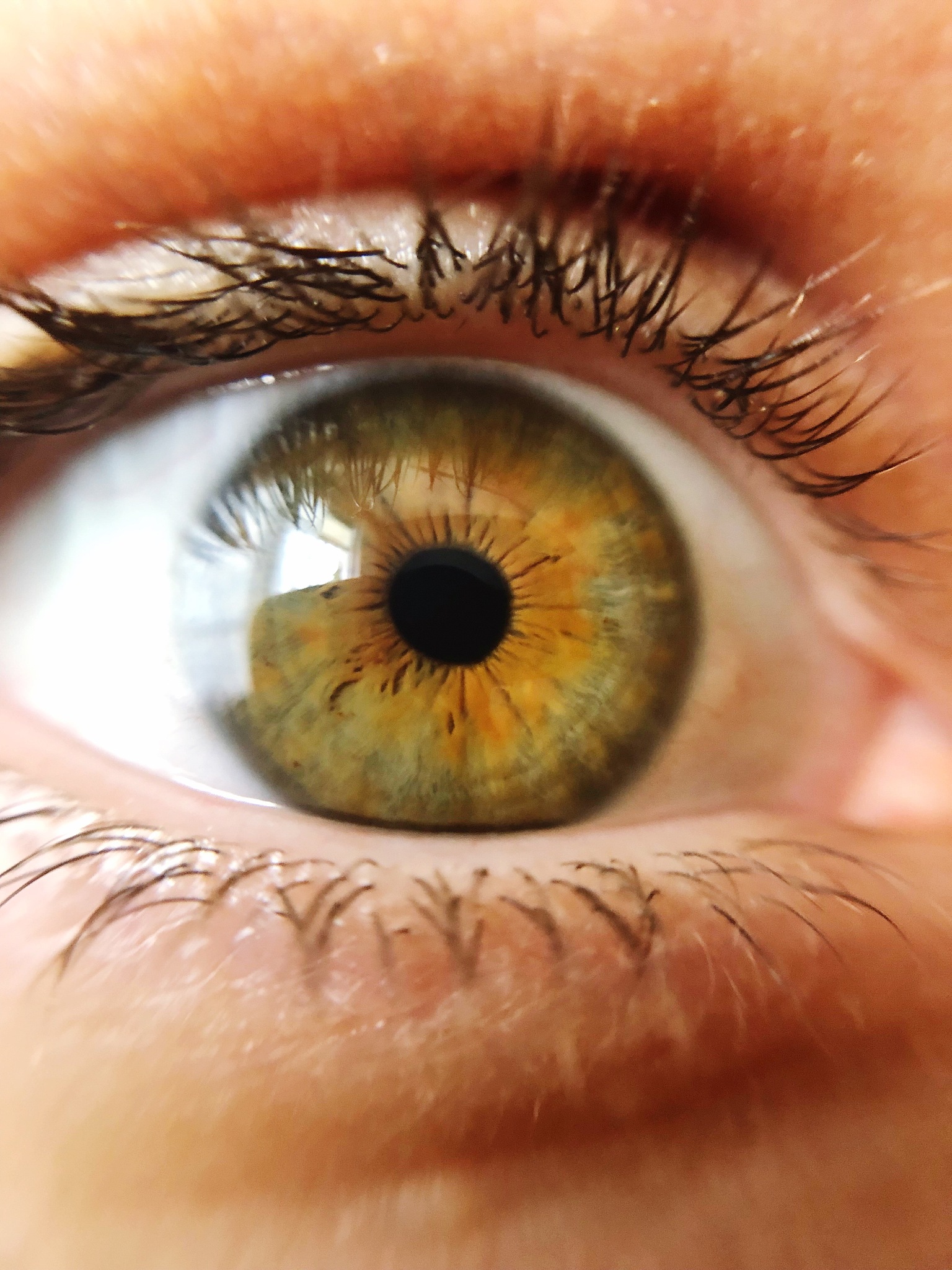 extreme close-up of human eye