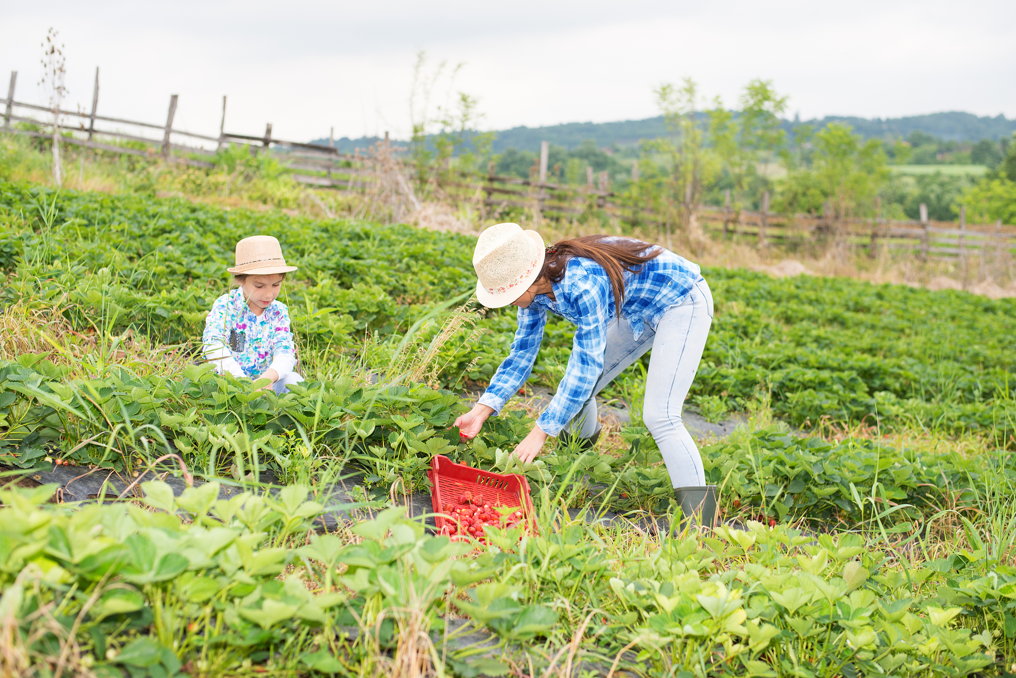 曲靖农业学校2019年五年一贯制大专招生报名网址