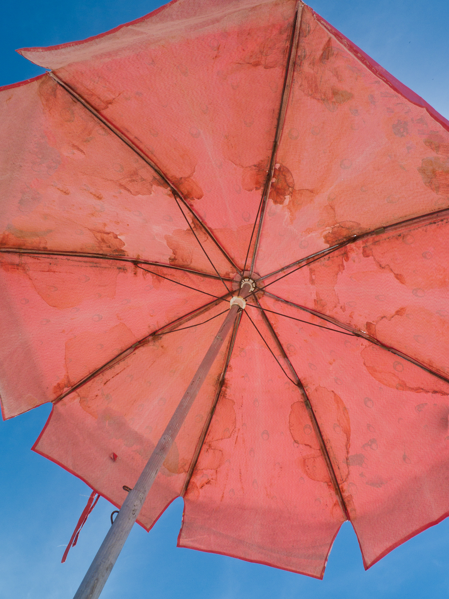 brazil beach umbrella
