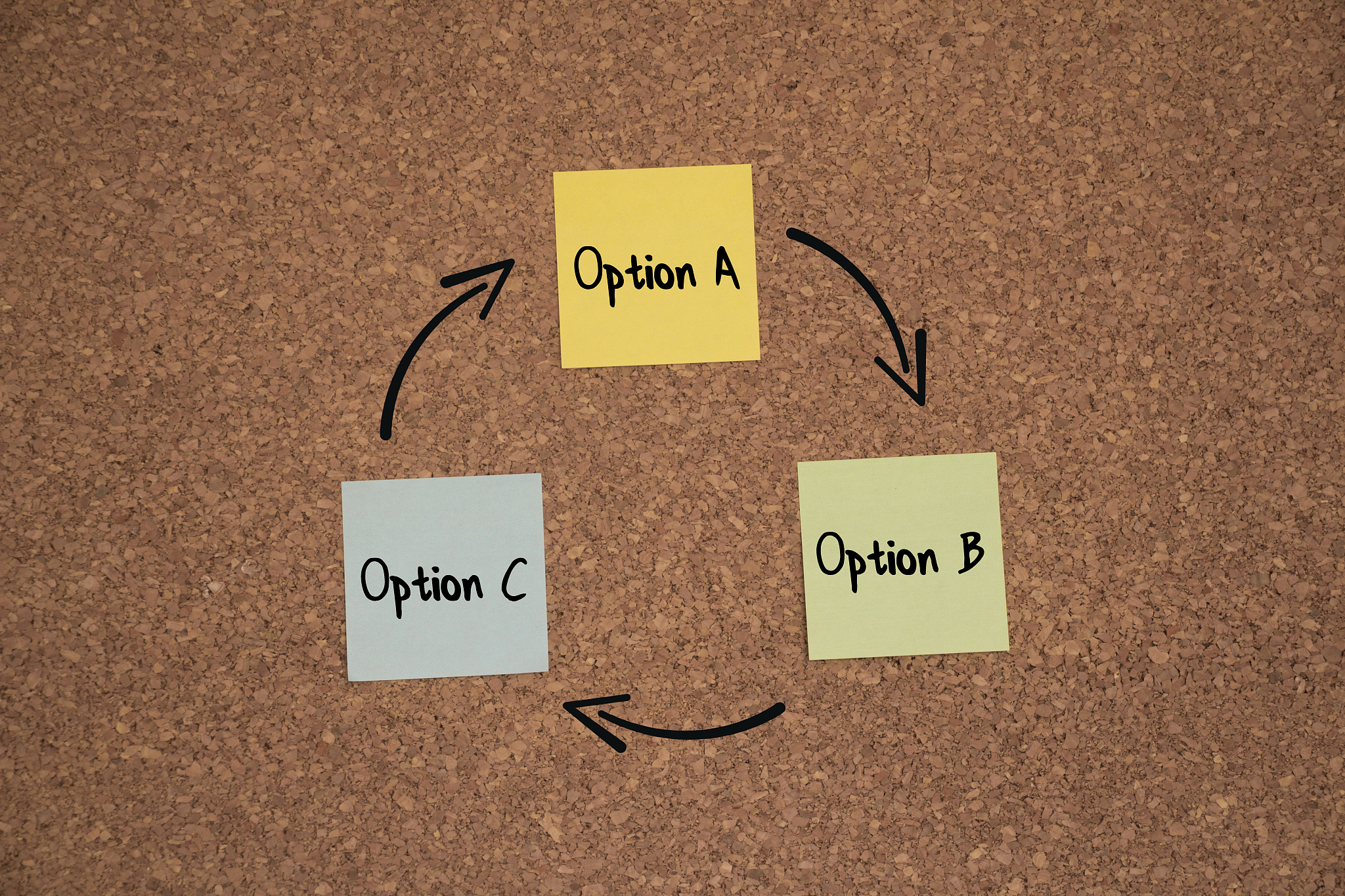business option cycle
