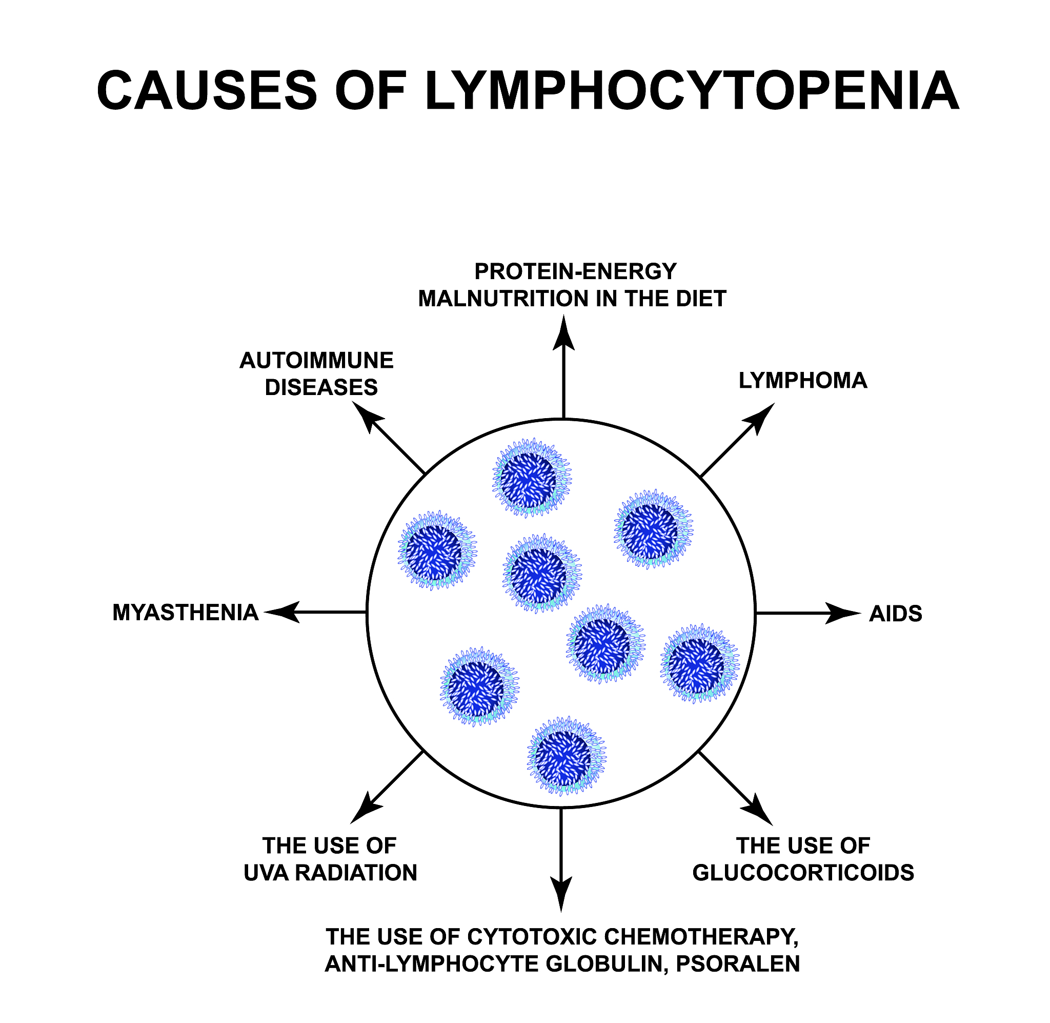 SPOP基因的生物学意义