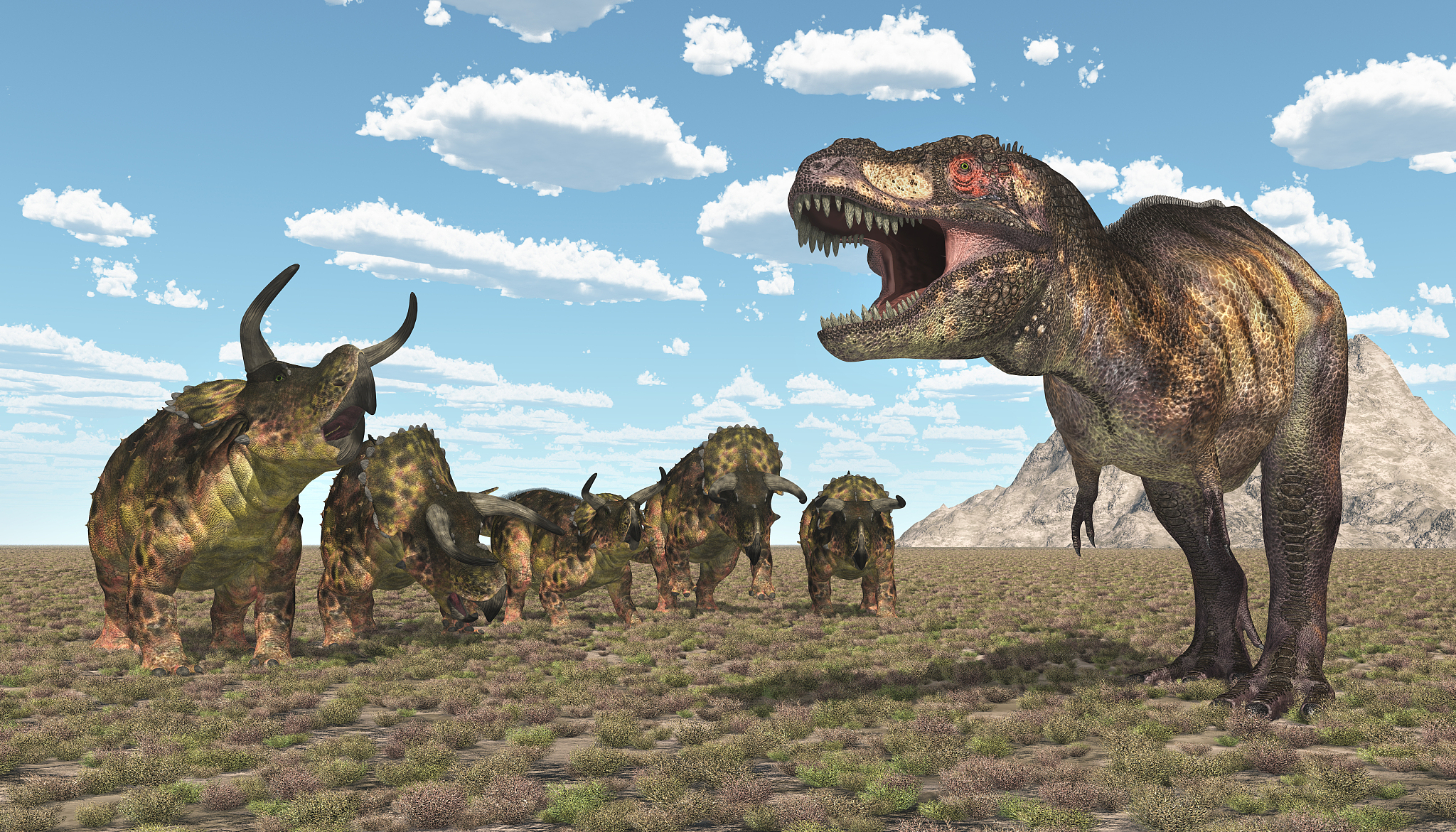 tyrannosaurus rex and nasutoceratops