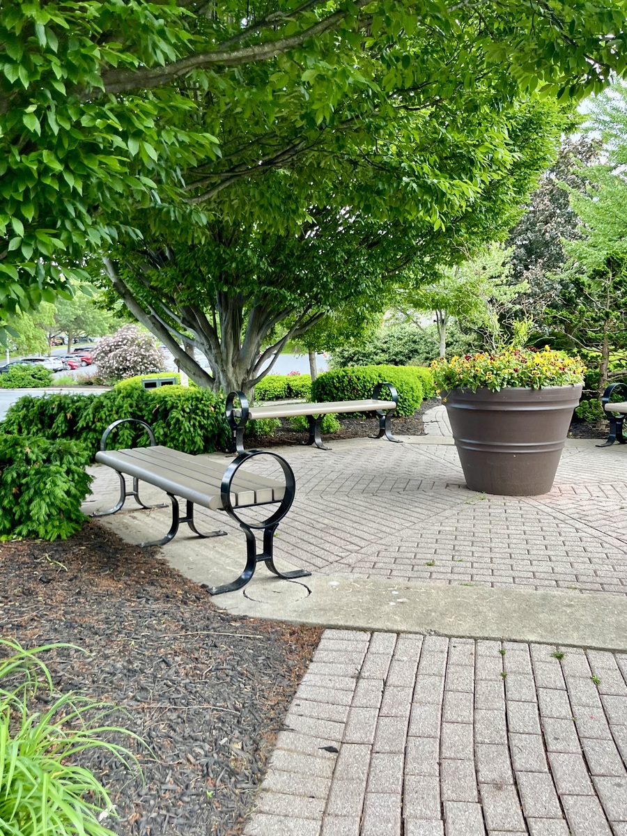 周末快乐时光：阳光、咖啡、公园散步和家人陪伴