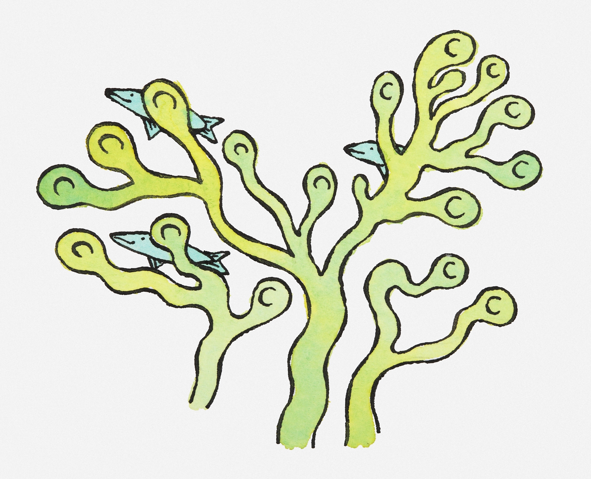 illustration of fish swimming behind seaweed providing camouflag