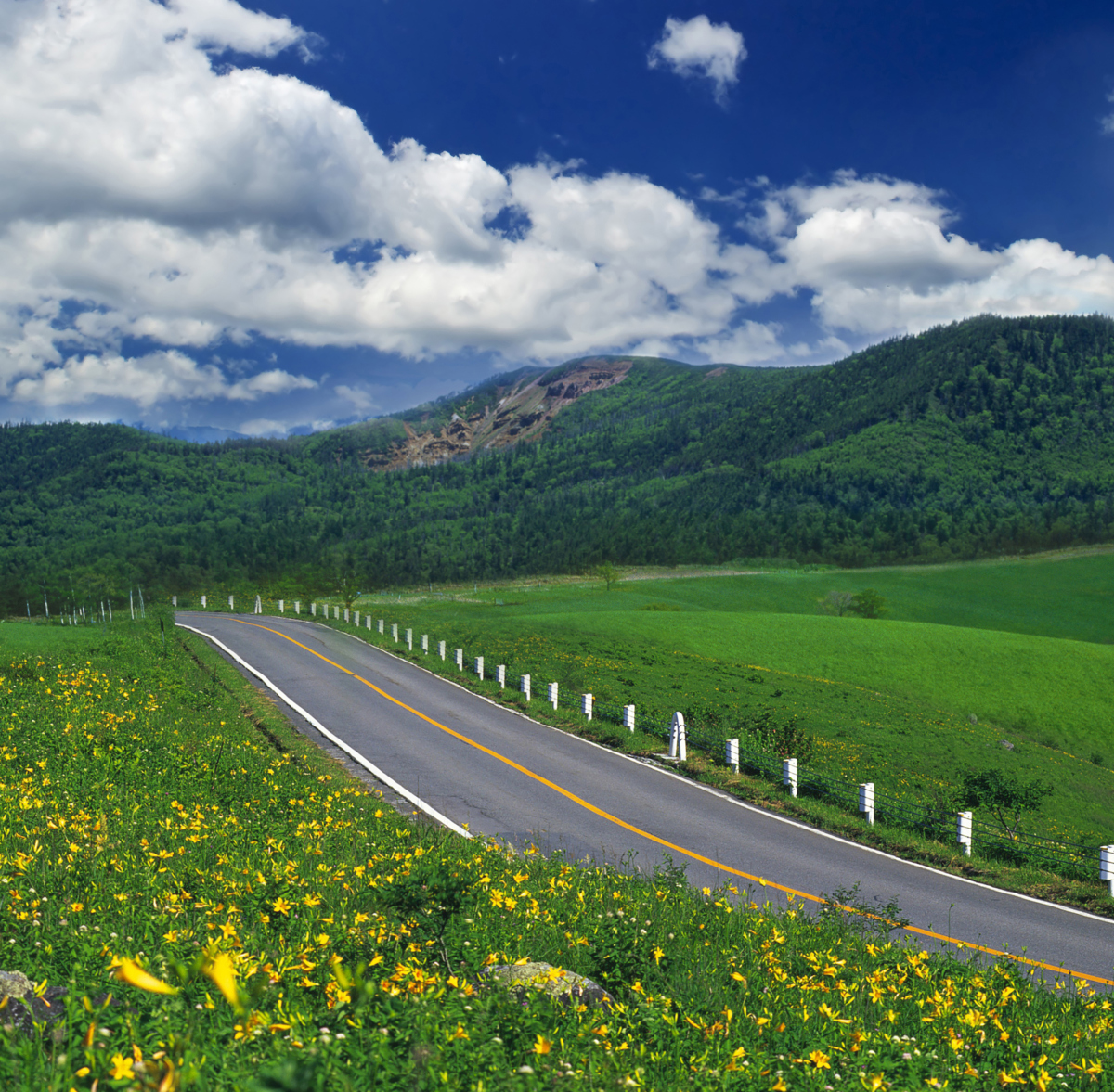 自驾游:追寻自由与未知的绝美旅程