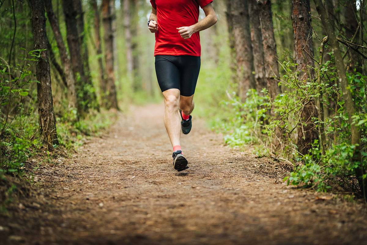 写一段400字跑步锻炼的心得体会
